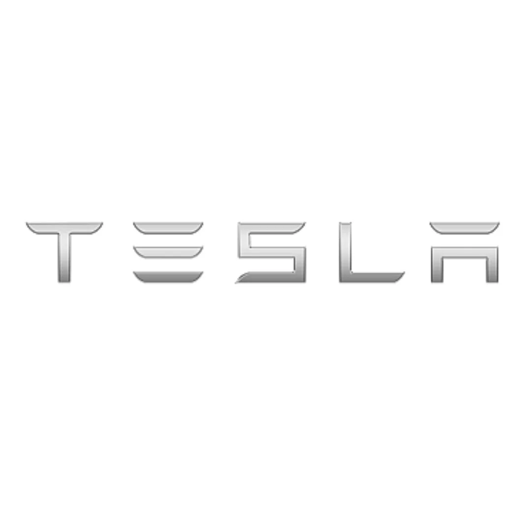 Tesla Model Y ile Uyumlu Bagaj Yazısı (TESLA)  - Gümüş