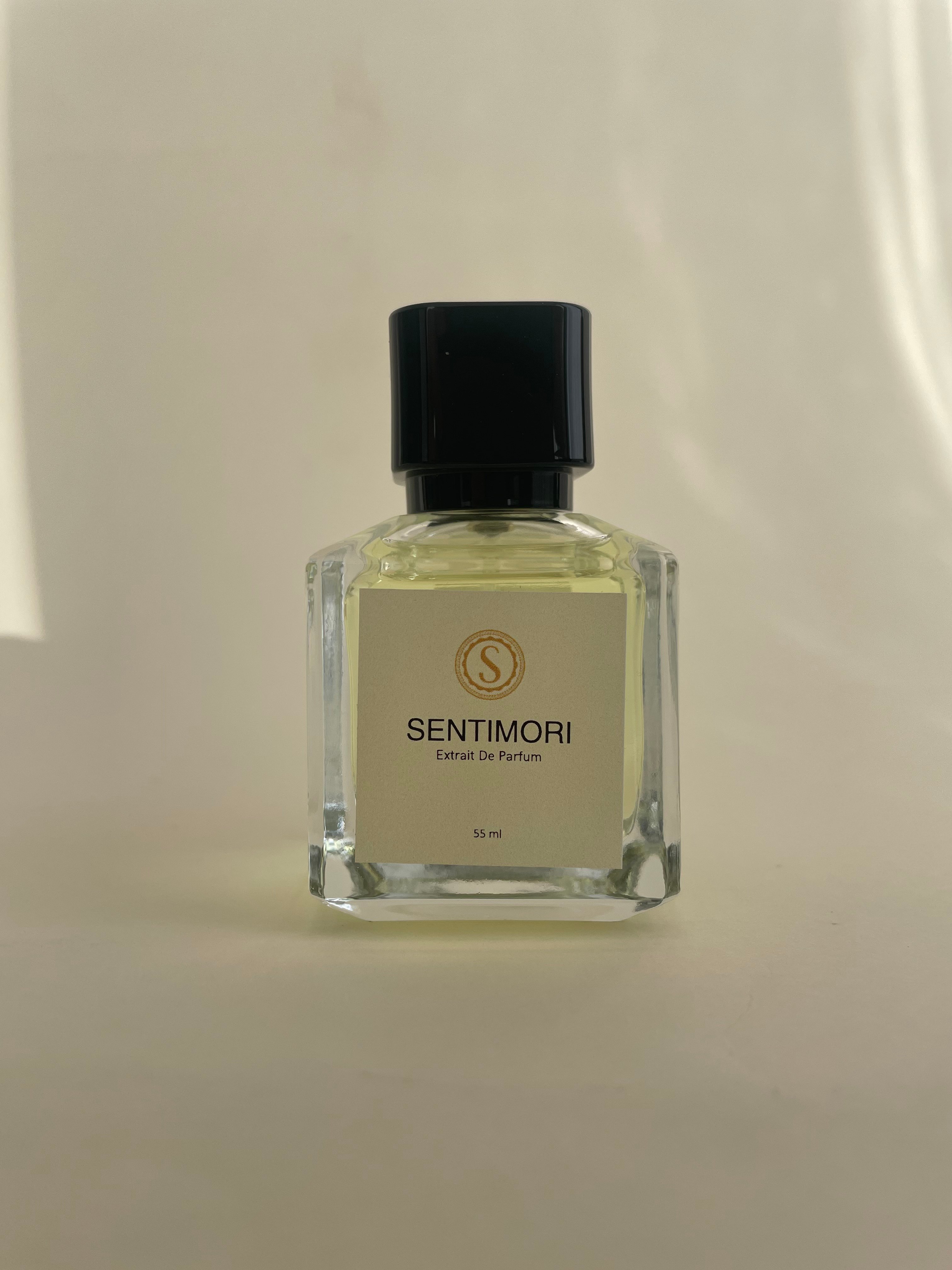 Sentimori S171 Explorer 55 ML