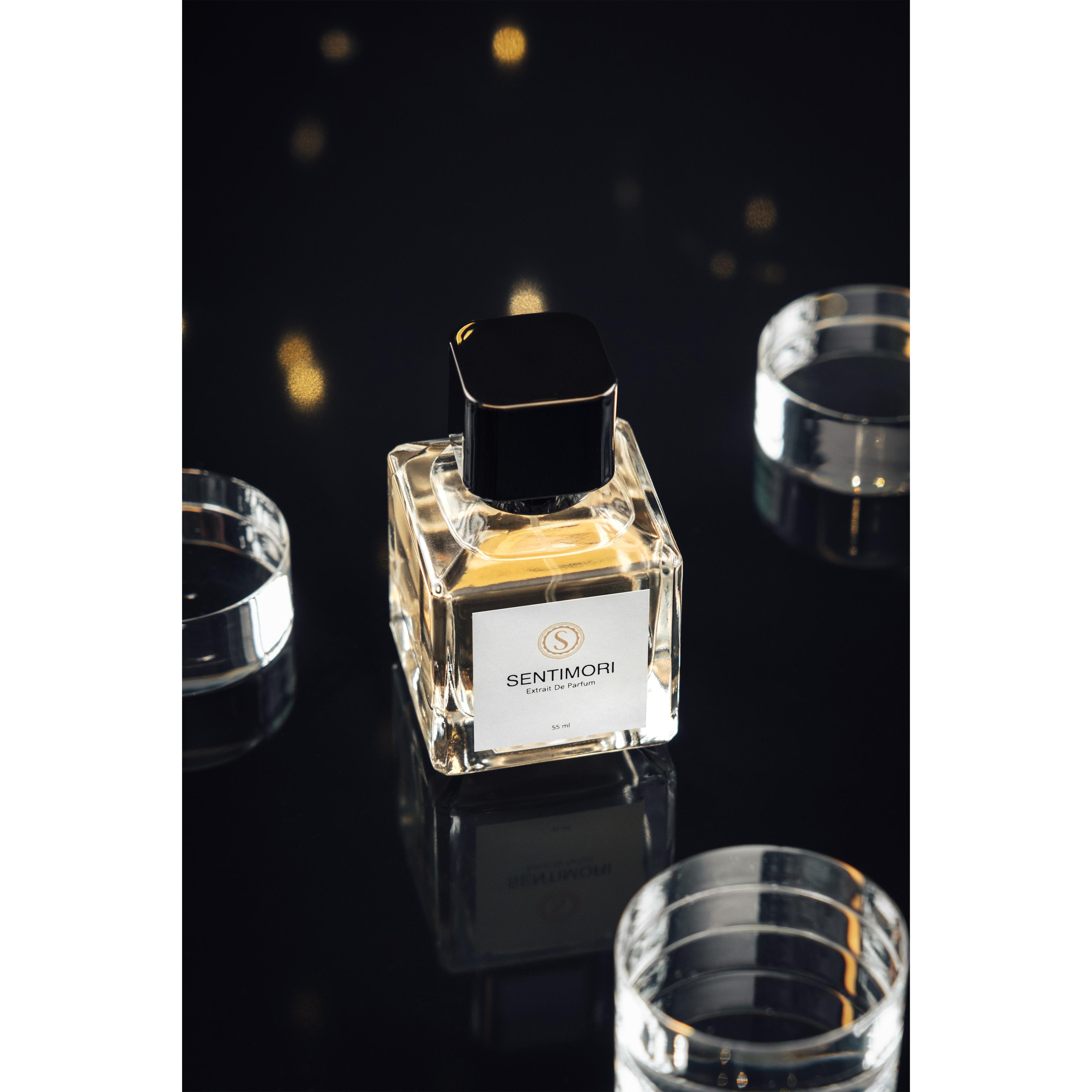 Sentimori S195 La Nuıt Tresor 55 ML