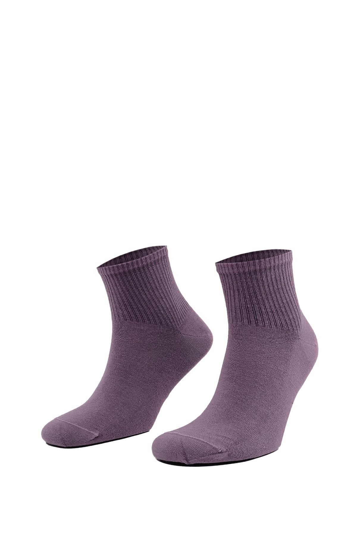 Aytuğ Women’s Cotton Sneaker Socks – 12-Pack in Soft Toned Colors with Extended Cuffs