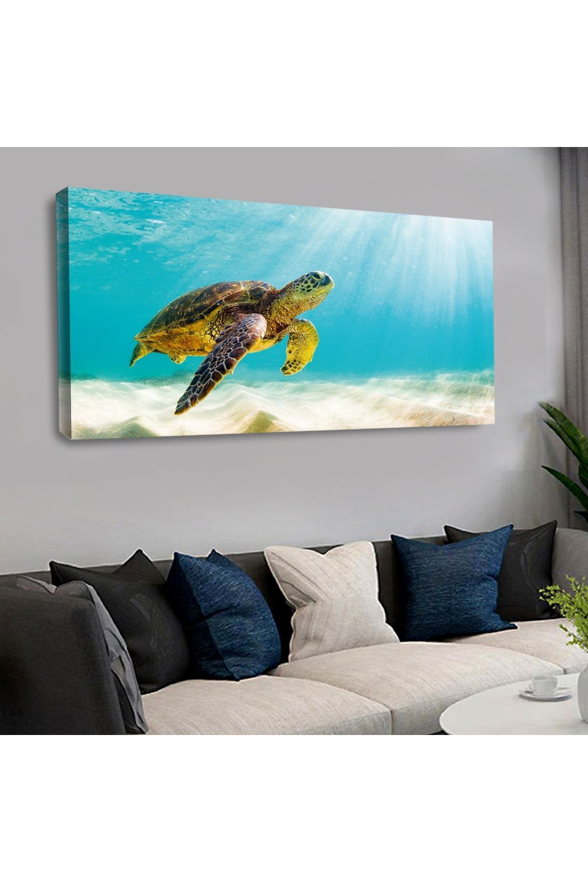 120 X 60 Cm Kanvas Karetta Kaplumbağası Tablo