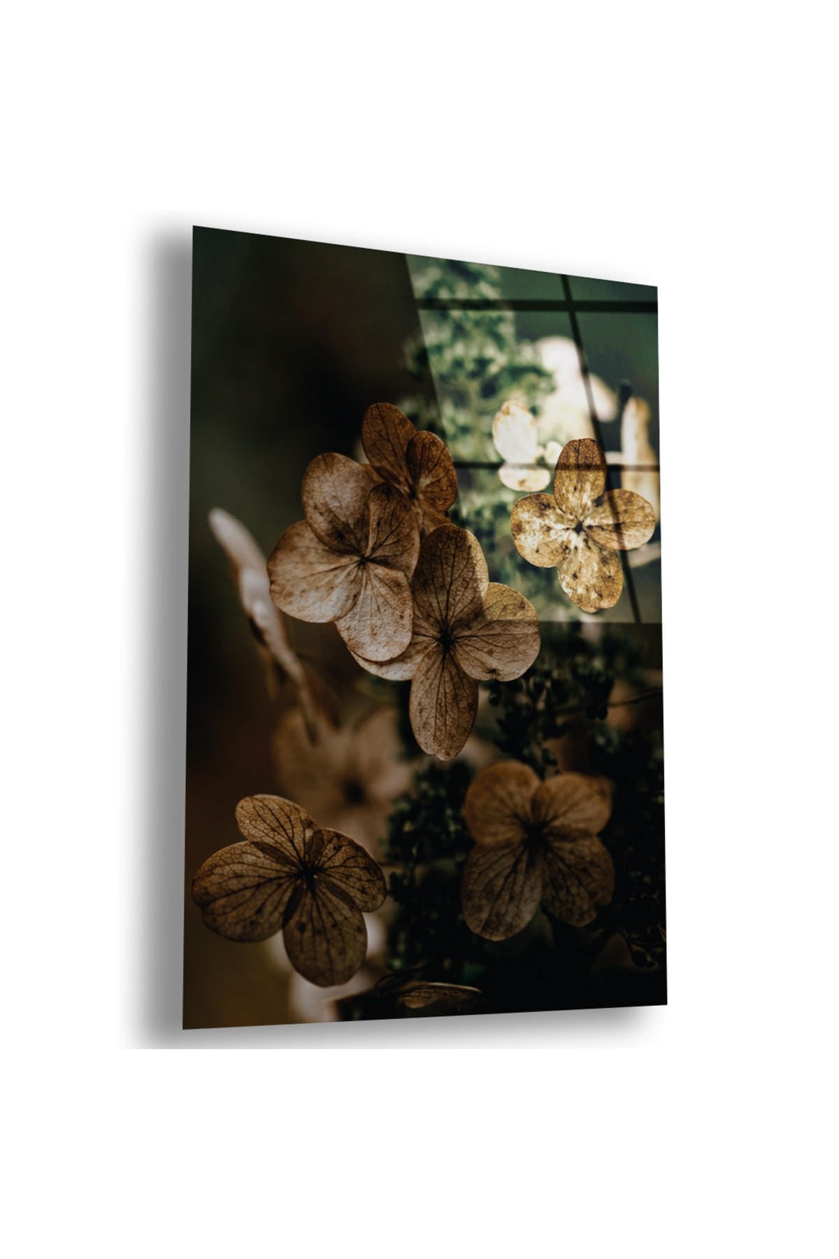 Minimalist Minimalist Kurumuş Çiçek UV Baskı Kırılmaz Cam Tablo