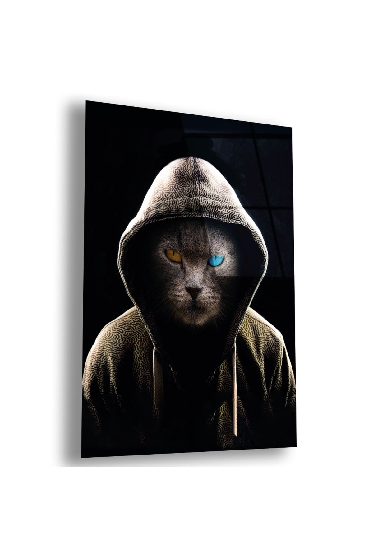 Kırılmaz Cam Tarz Kedi Tablo