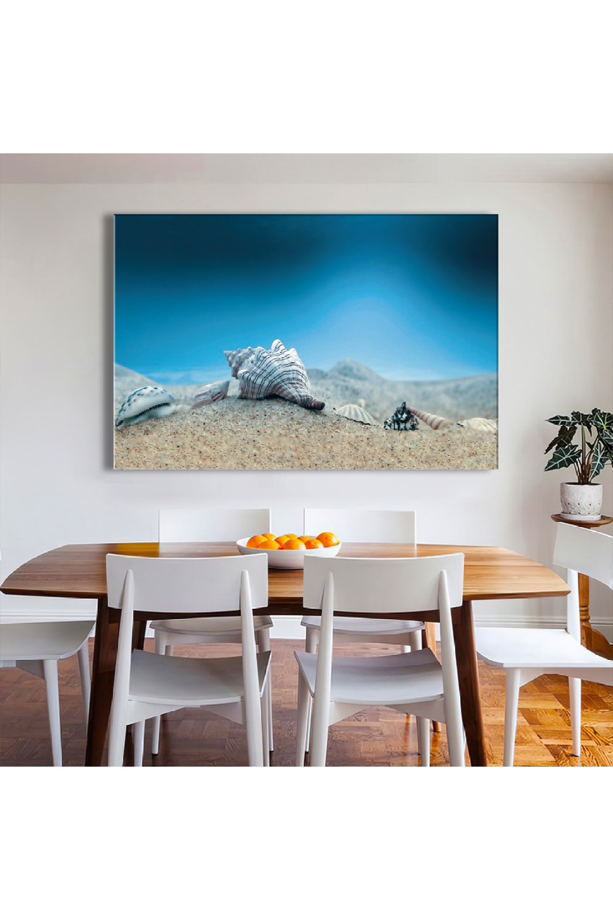 Deniz Kabuğu Ahşap Şase Dijital Baskı Kanvas Tablo 120X80Cm