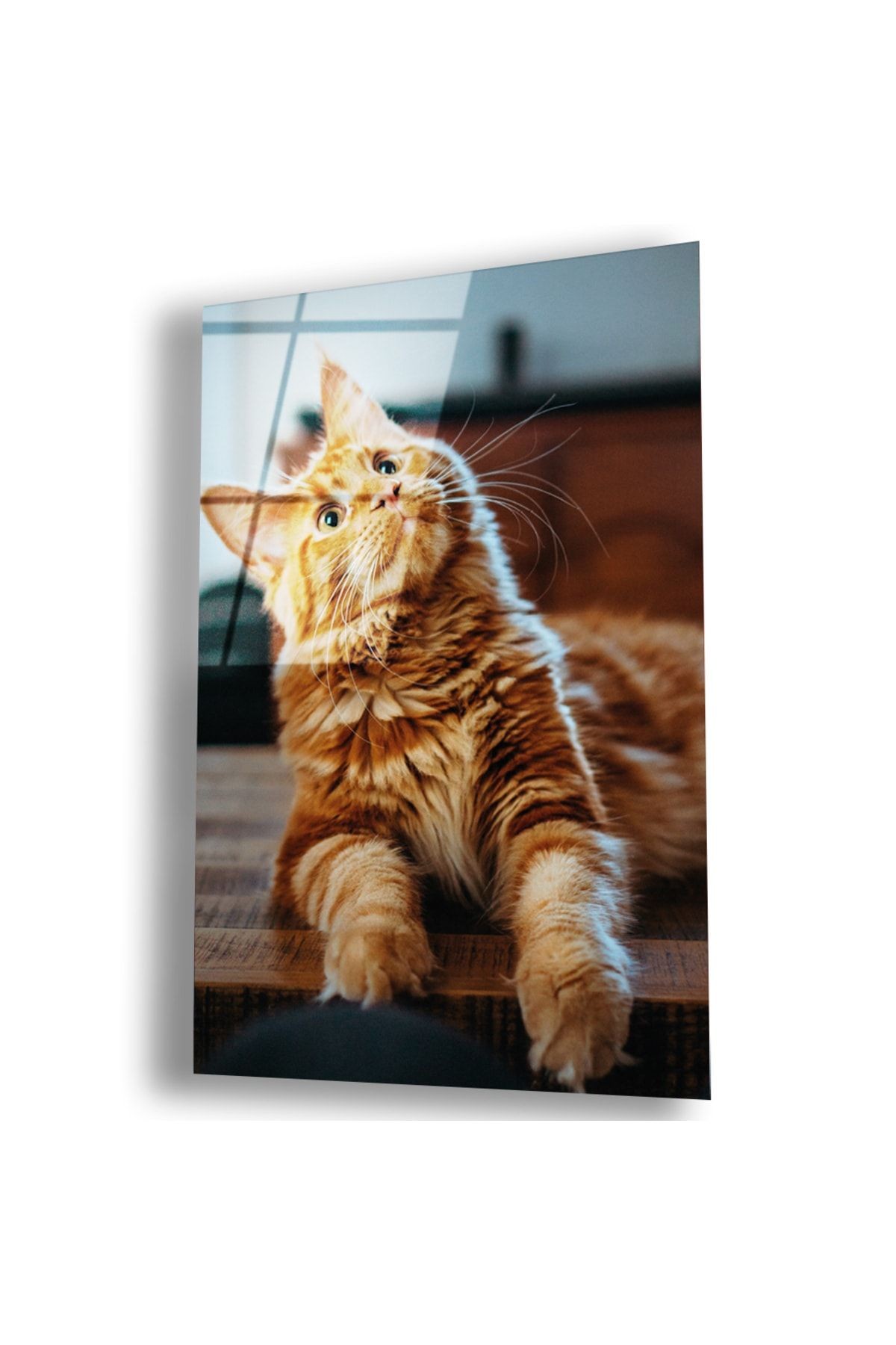 Kırılmaz Cam Kedi Tablo