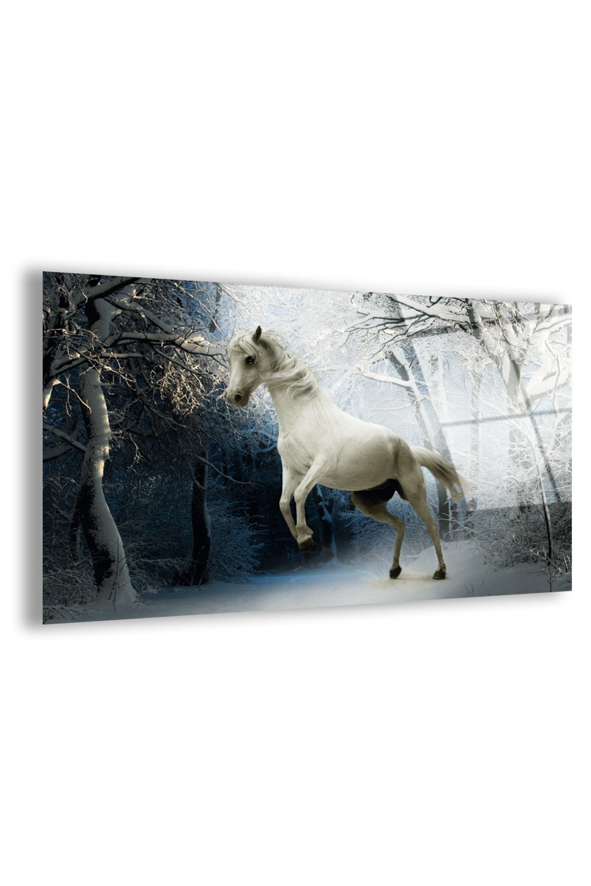 Beyaz At UV Baskı Yatay Çerçevesiz Kırılmaz Cam Tablo