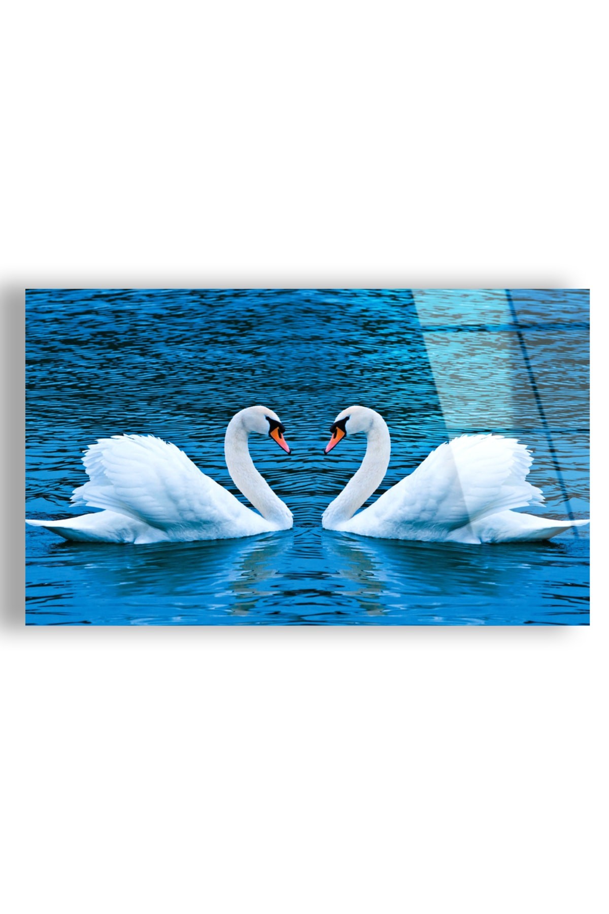 Aşk Kuğuları UV Baskı Kırılmaz Cam Tablo