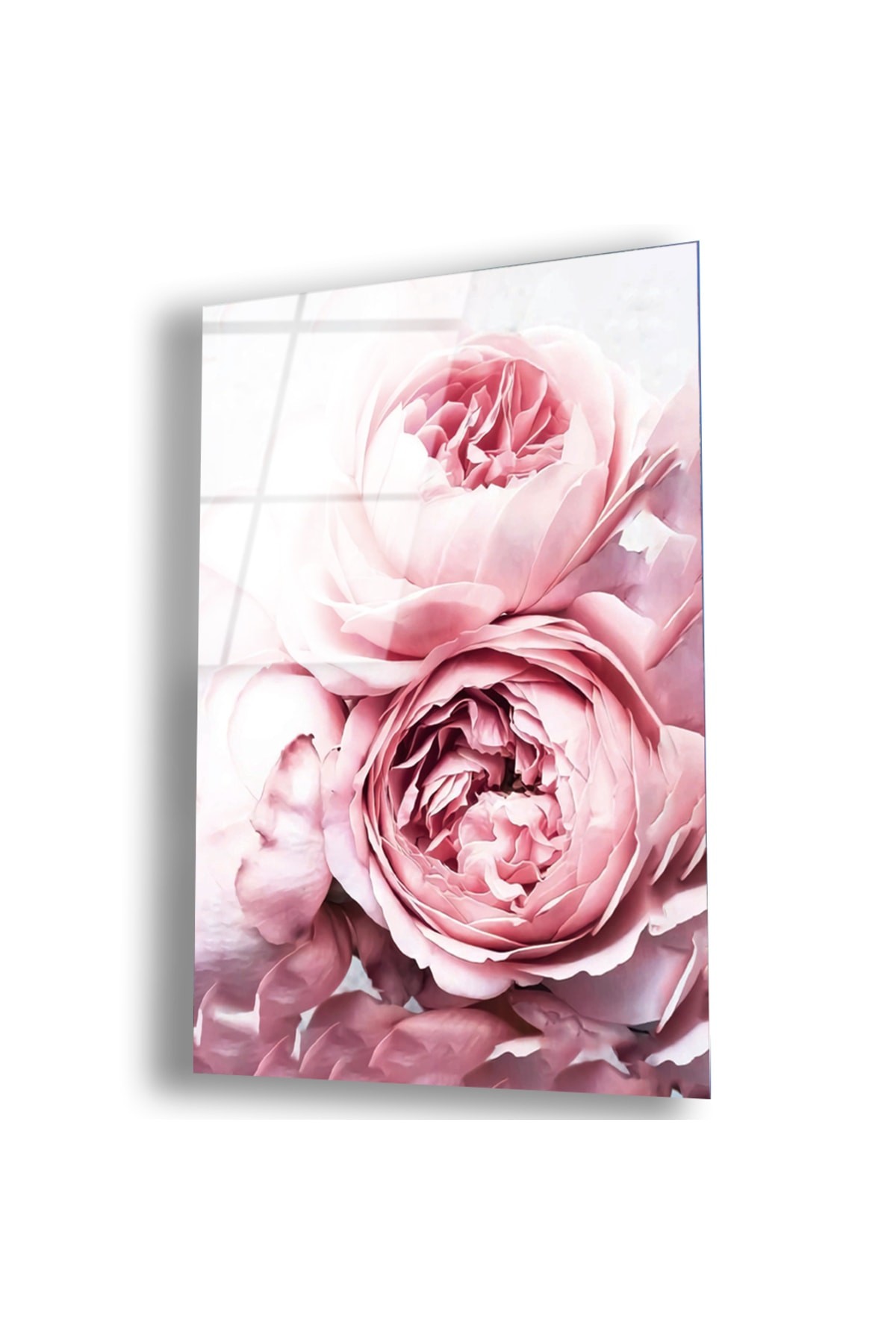 Pembe Gül UV Baskı Dikey Çerçevesiz Kırılmaz Cam Tablo