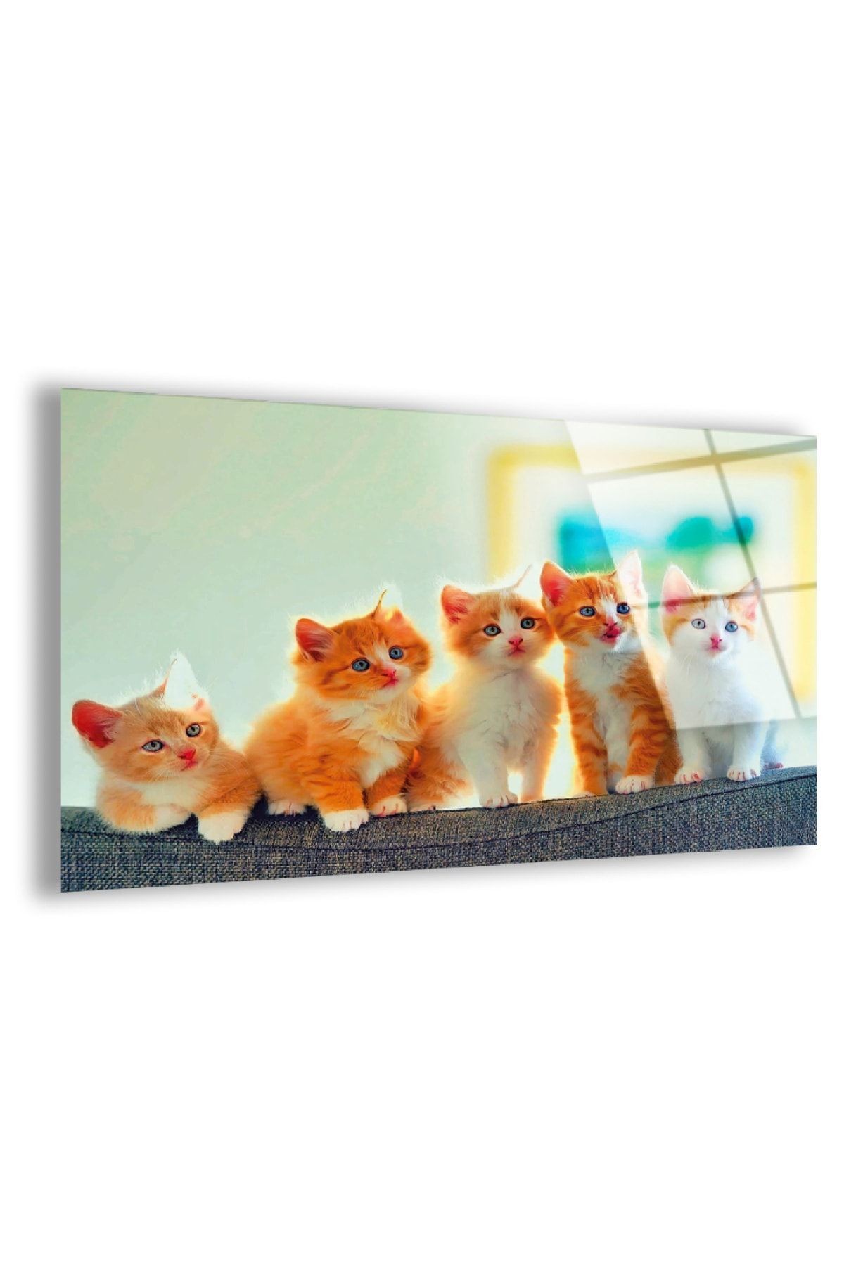 Kırılmaz Cam Sevimli Kedicikler Tablo
