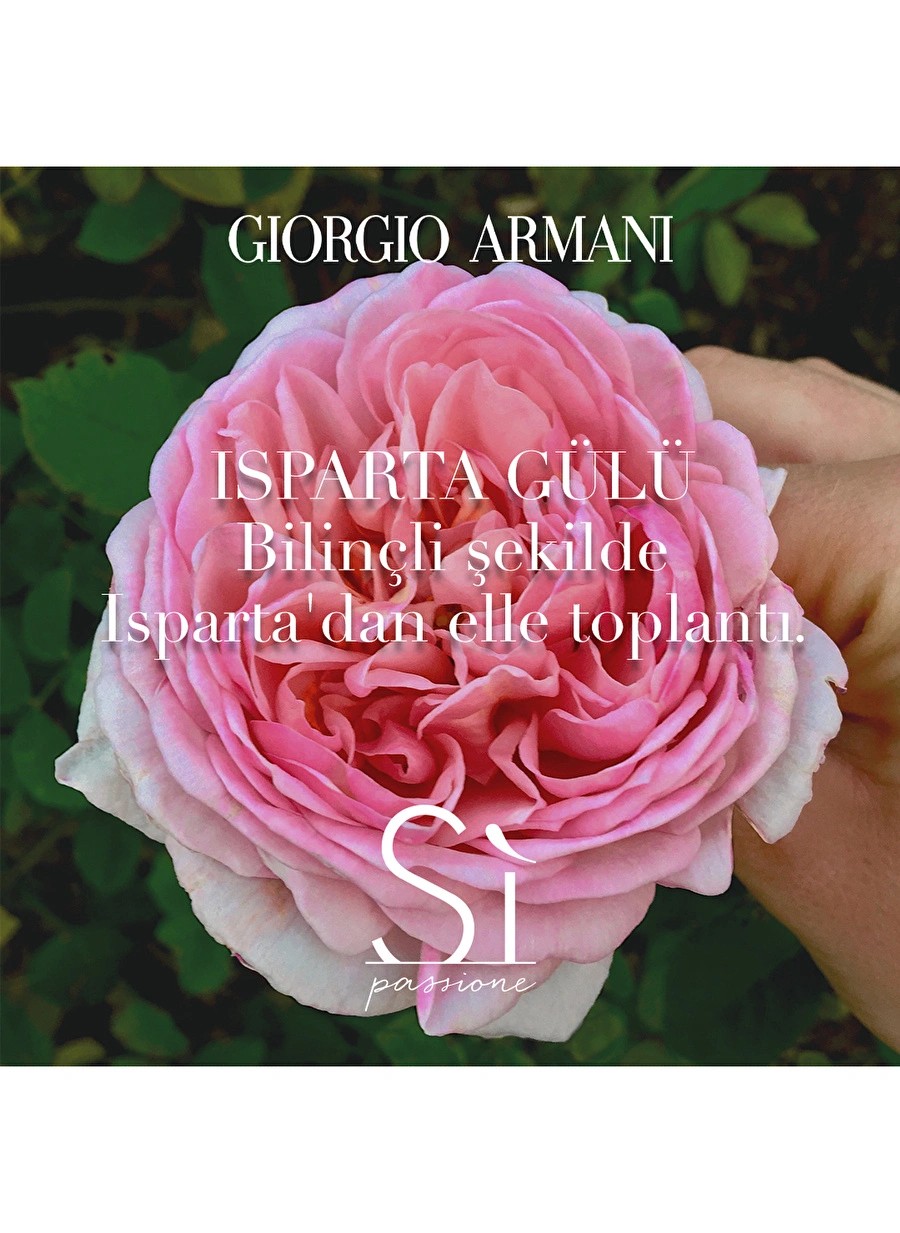 Armani Si Passione Eclat Edp 100 ml Parfüm