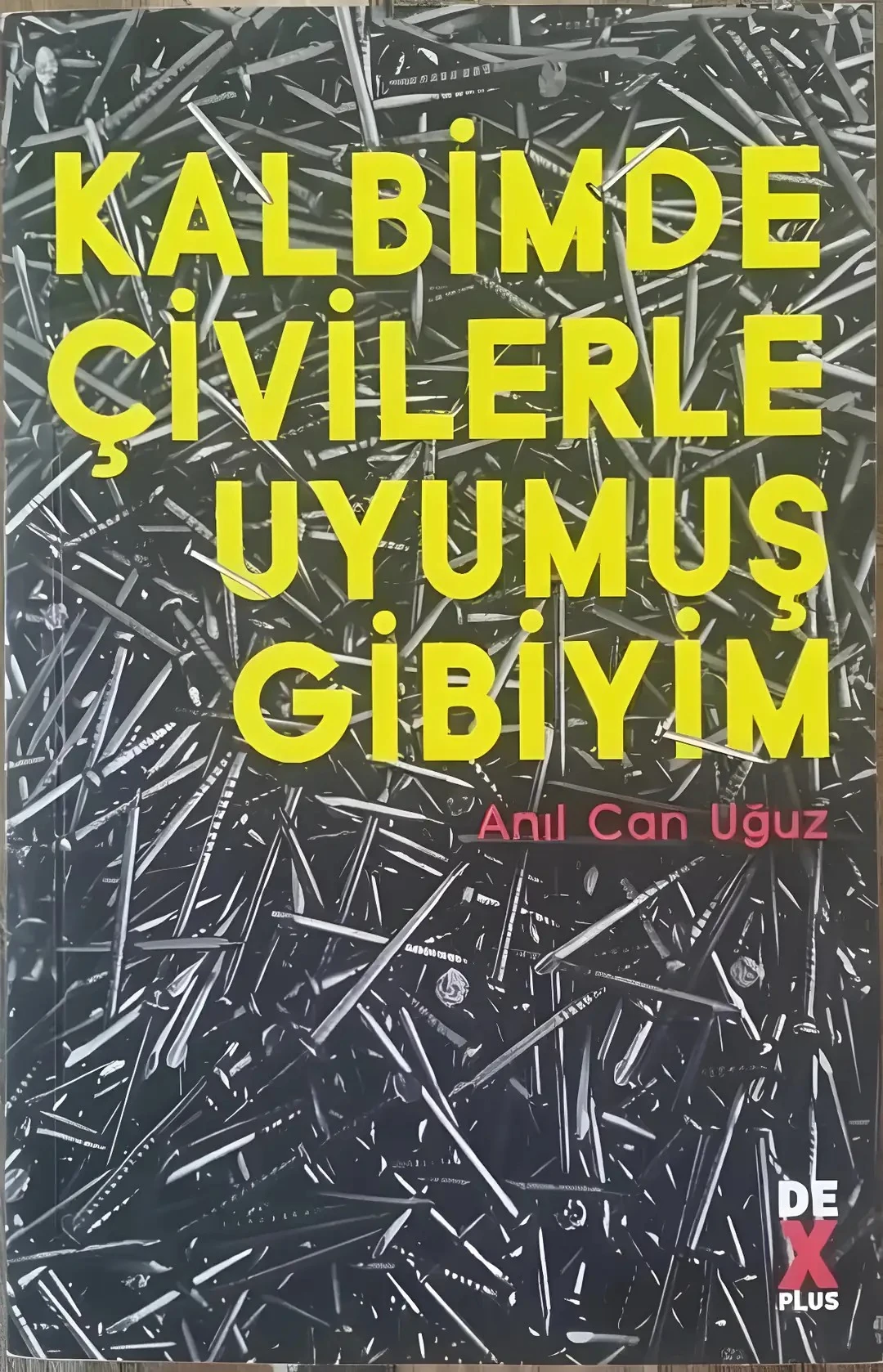 Kalbimde Çivilerle Uyumuş Gibiyim - Anıl Can Uğuz