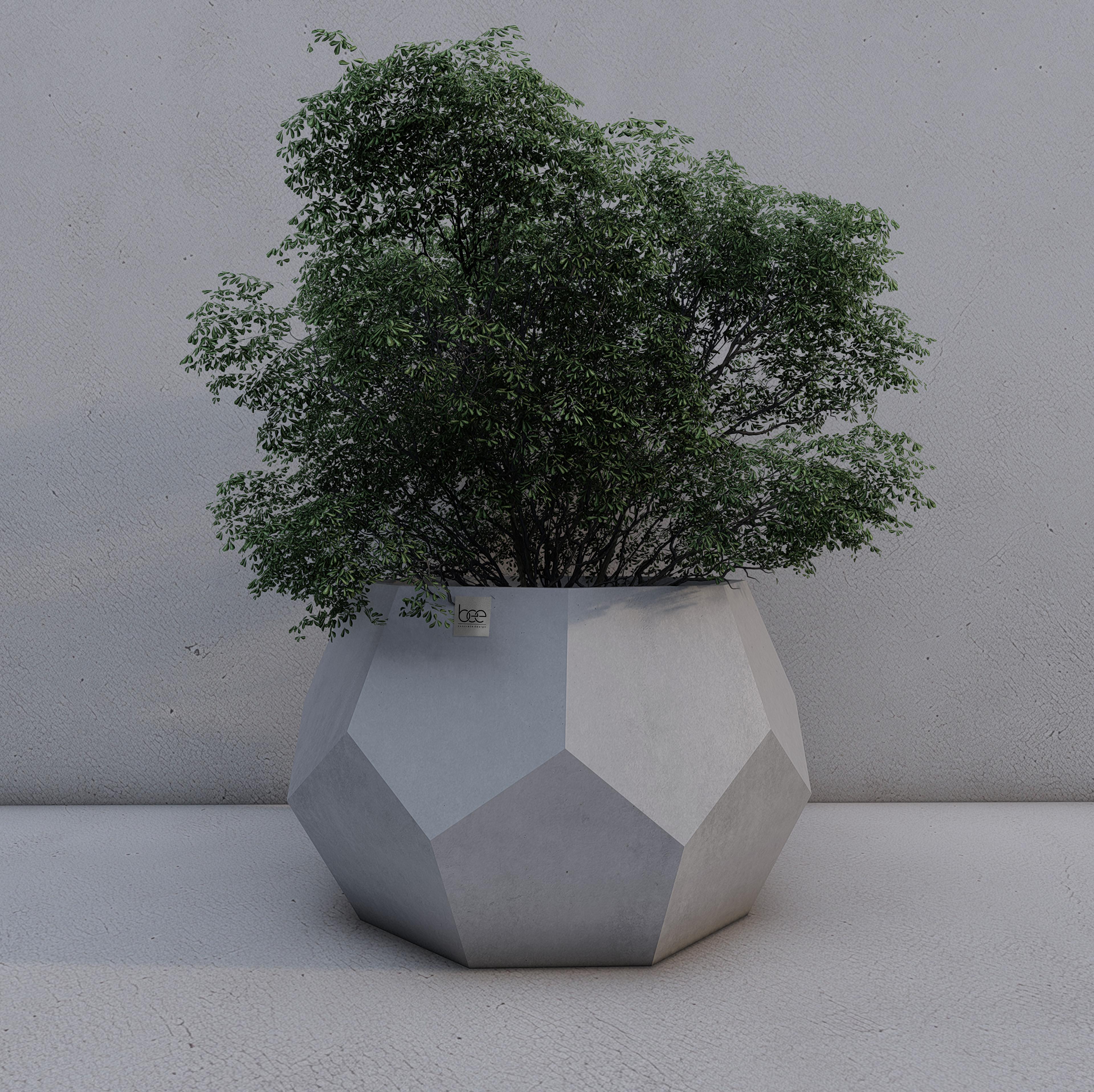 Honeycomb No.1 Beton Saksı