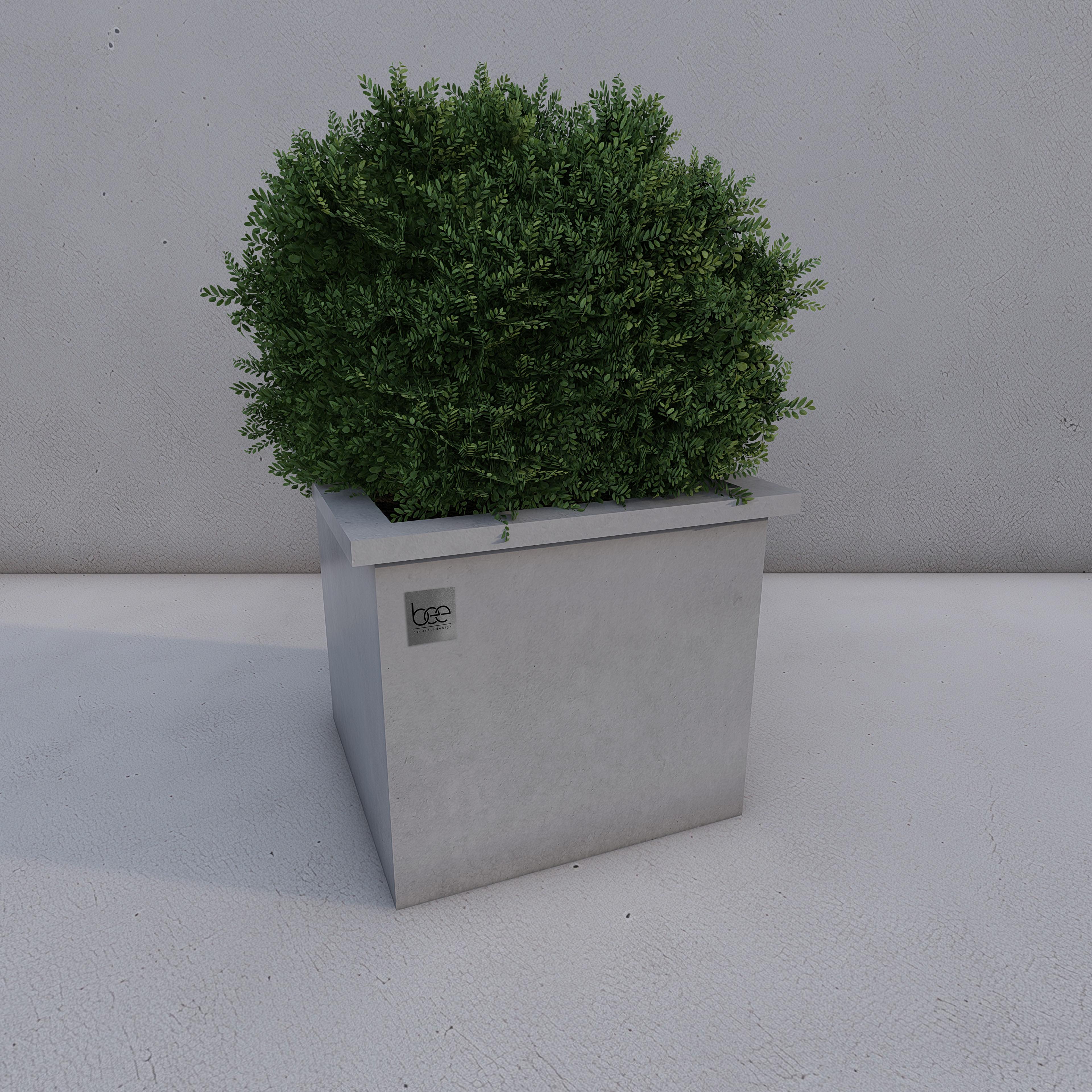 Square Bee