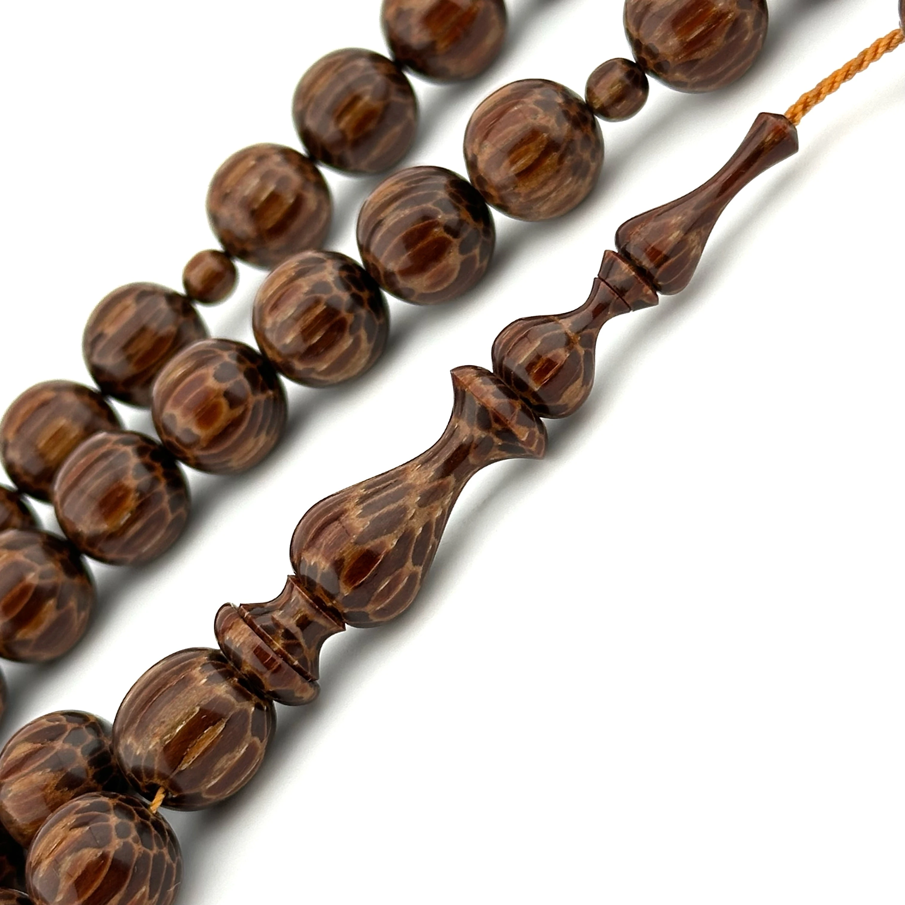 Raif ALAN Usta - Kızıl Vahşi Palmiye Ağacı