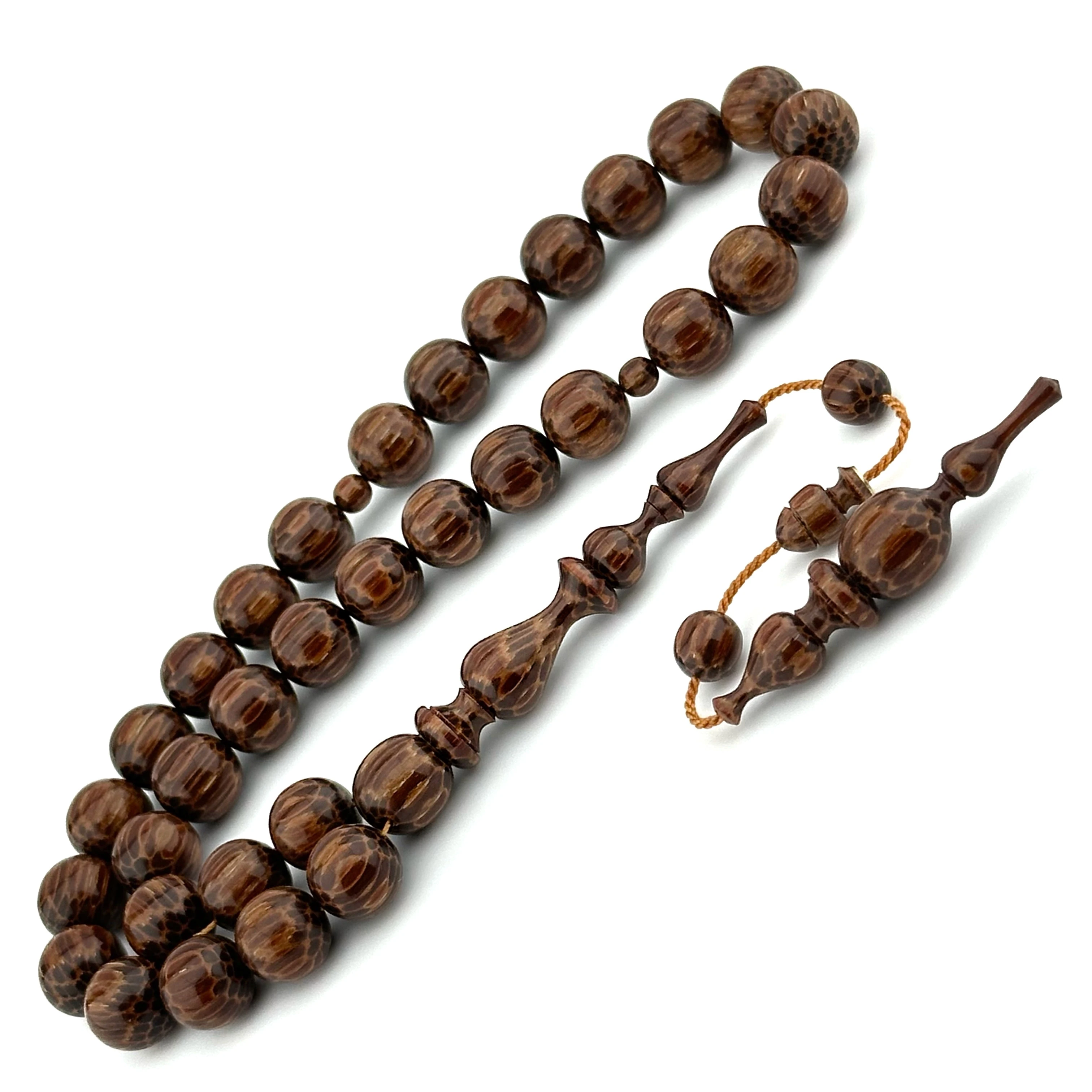 Raif ALAN Usta - Kızıl Vahşi Palmiye Ağacı