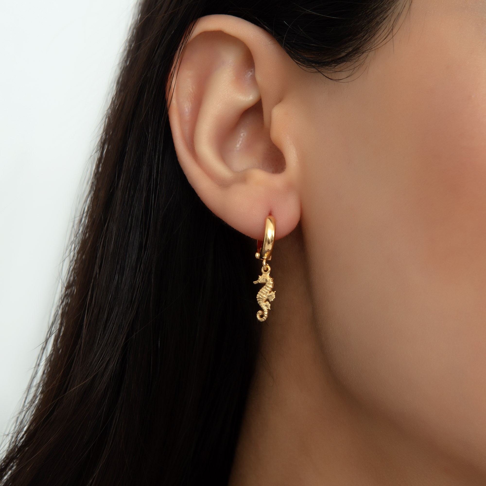 Seahorse Earrings