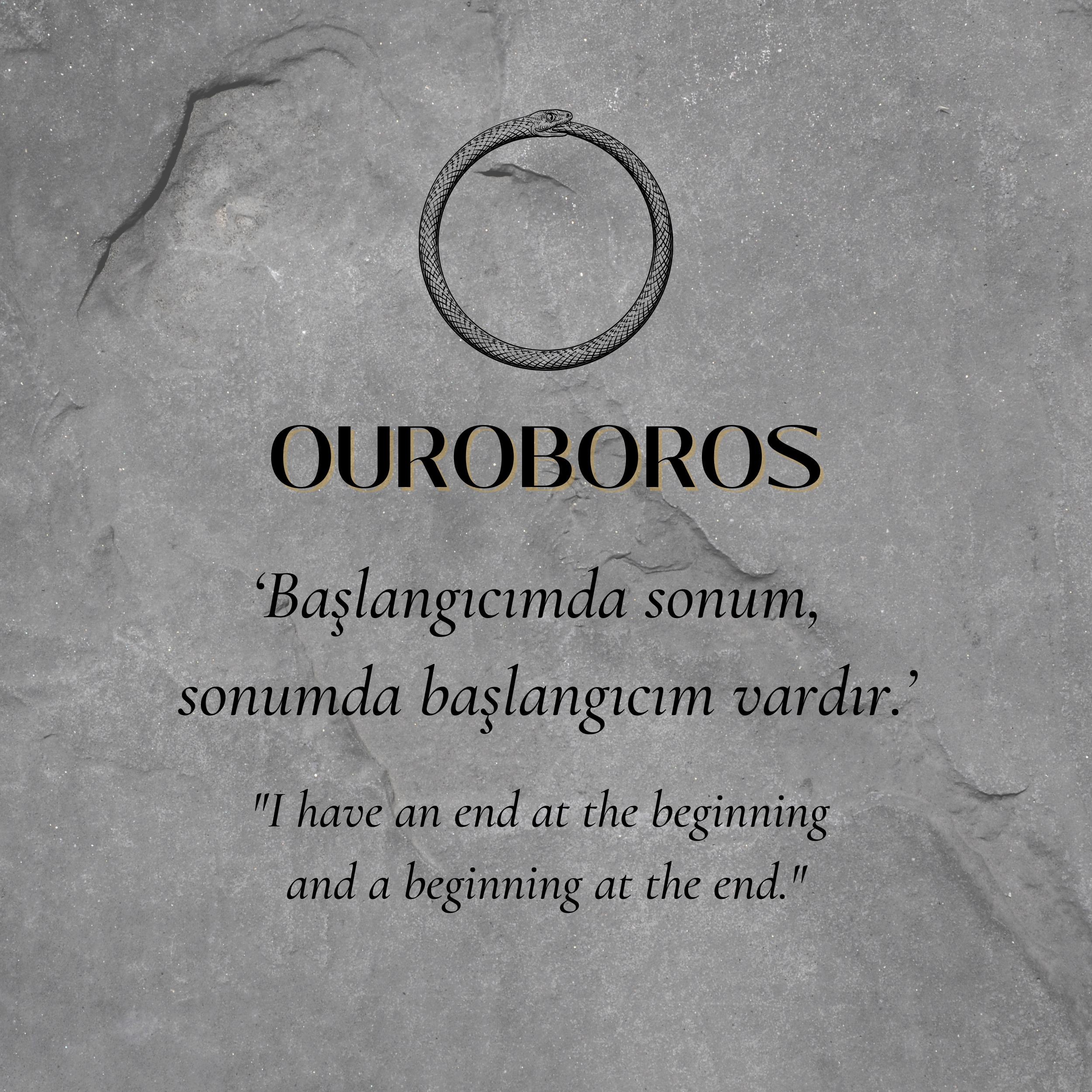 Ouroboros Küpe