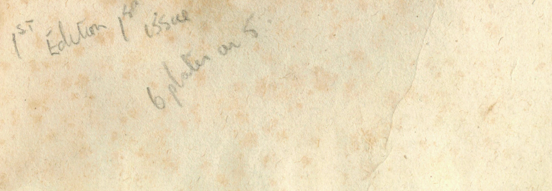 PLATONİK CİSİMLER