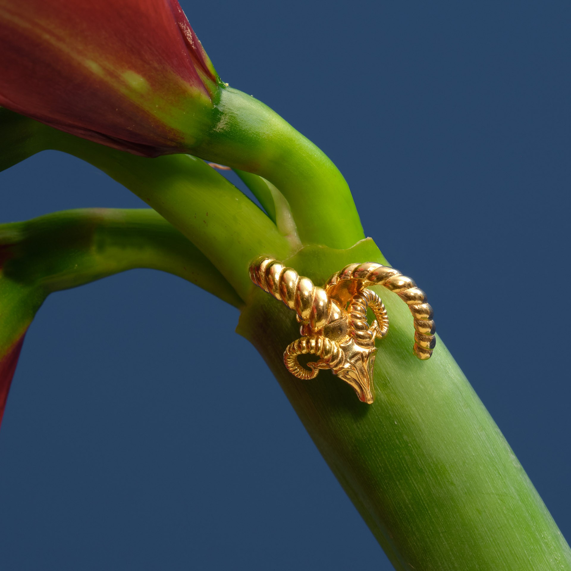 The Ram Front and Back Earring (single)