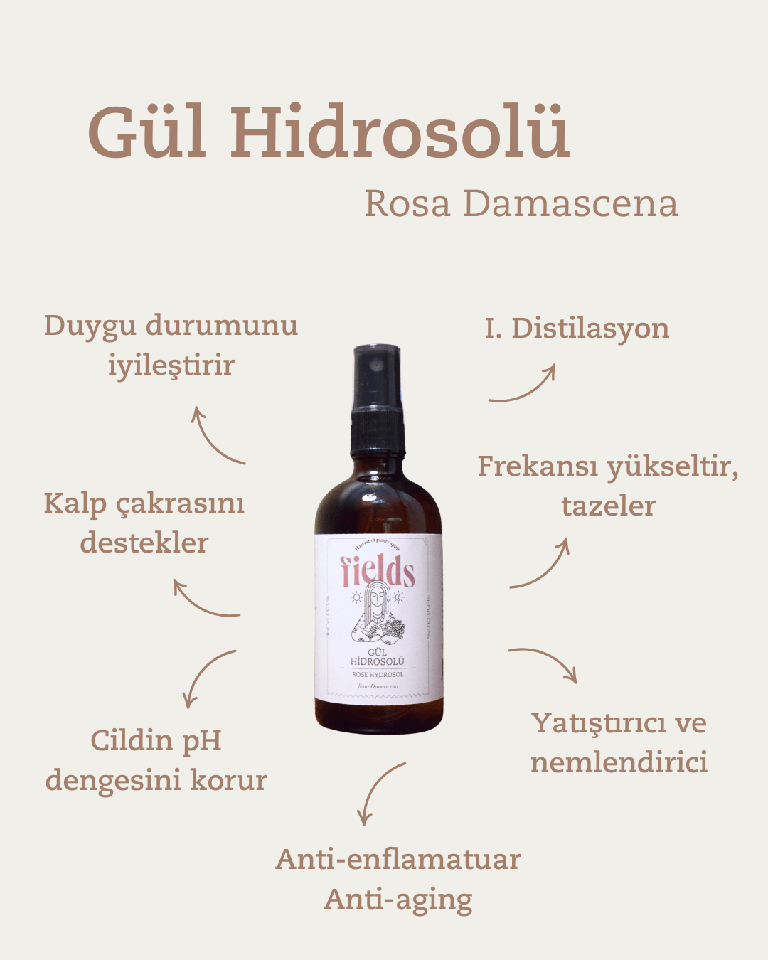 Gül Hidrosolü / Suyu