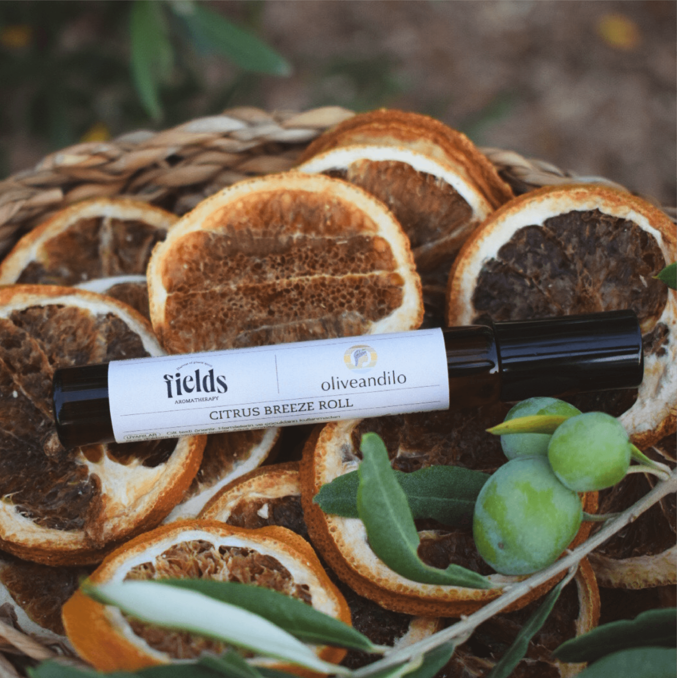 Oliveandilo - Citrus Breeze Roll | Olive & Citrus Collection