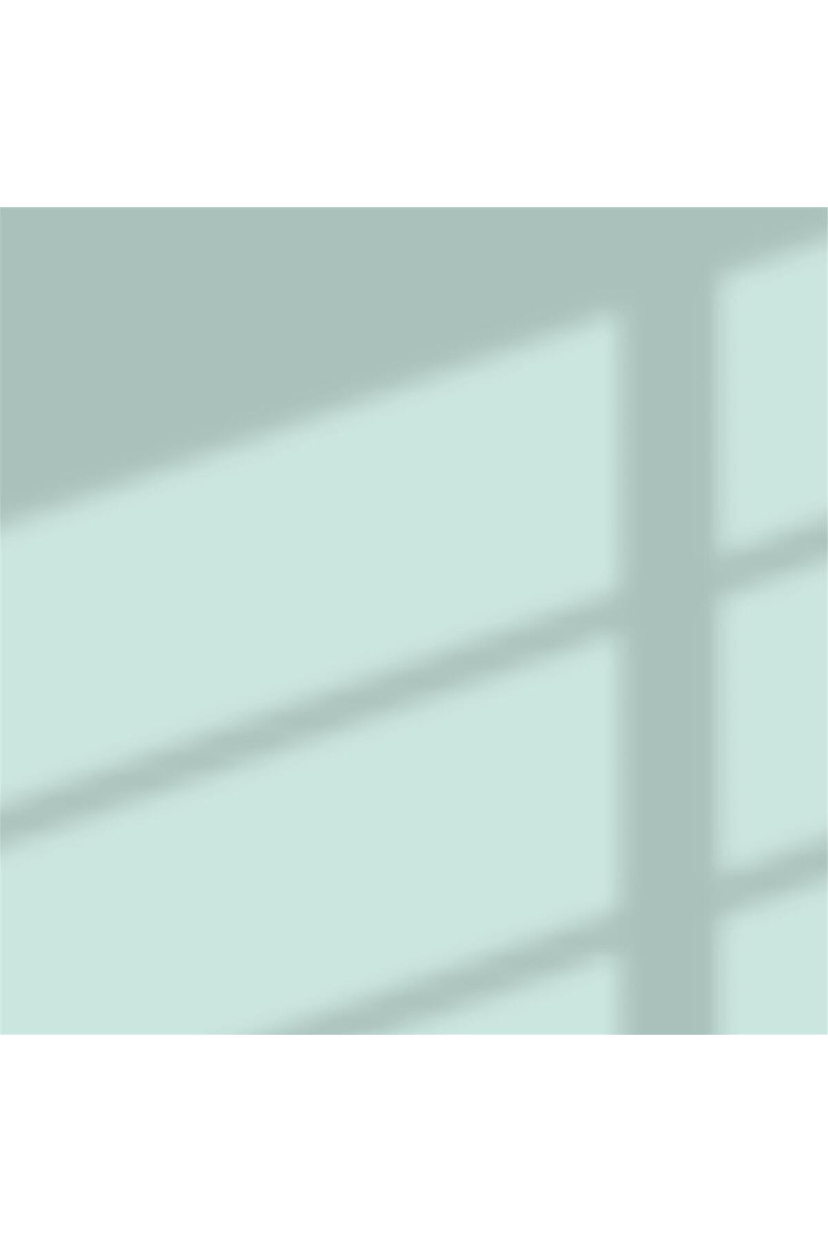 4373 - Nil Yeşili - Ci-7392 2,5 Litre Perla Mat Silikonlu Iç Cephe Boyası (28800011000)