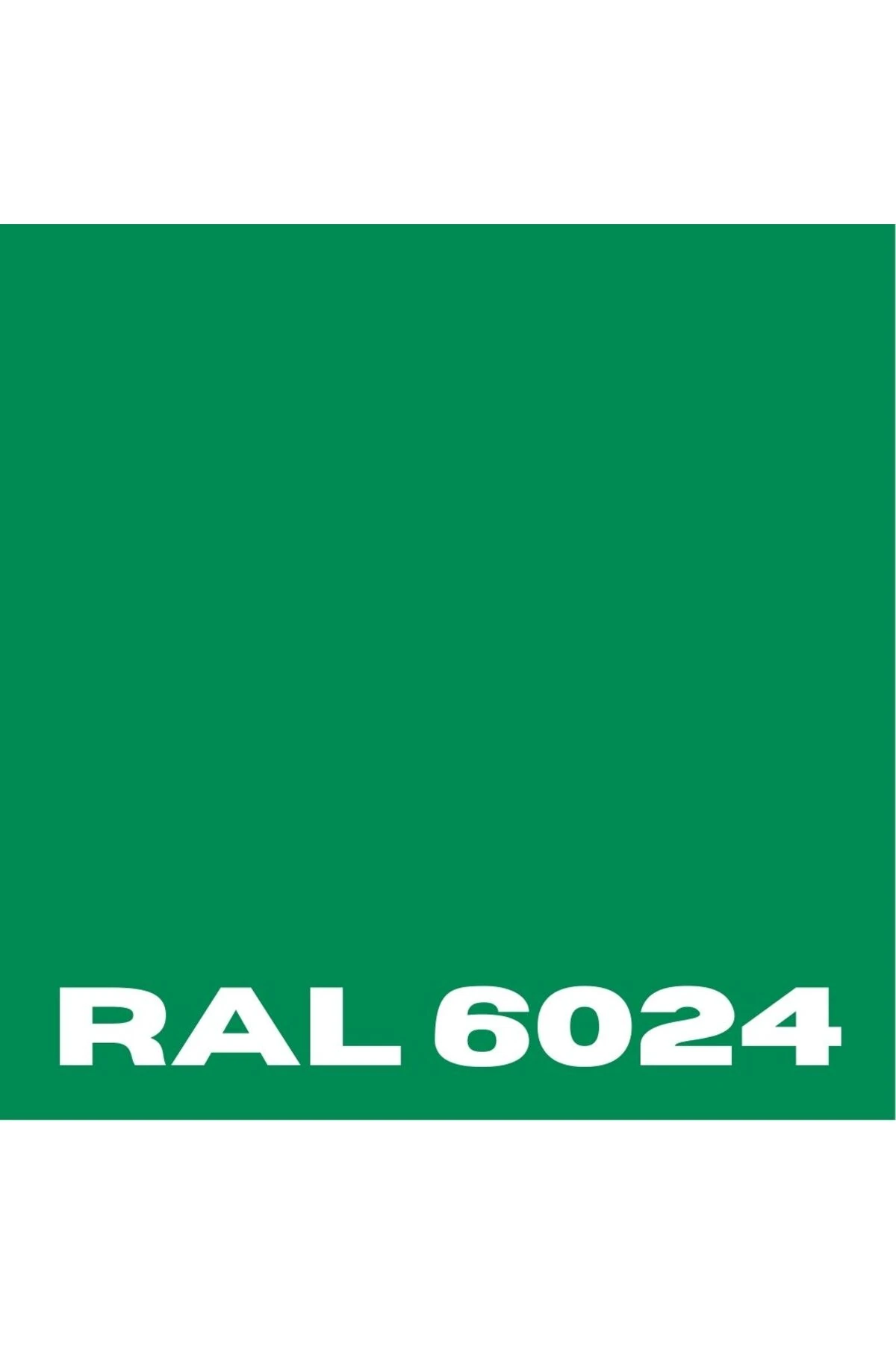 ZEMİN BOYASI 10 KG YEŞİL RAL-6024