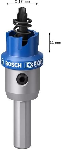 BOSCH Expert 17 mm Elmaslı Inox Panç Adaptörlü 2608901400