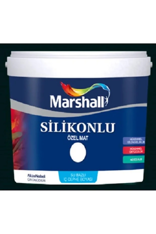 Silikonlu Özel Mat Duvar Boyası Adaçayı