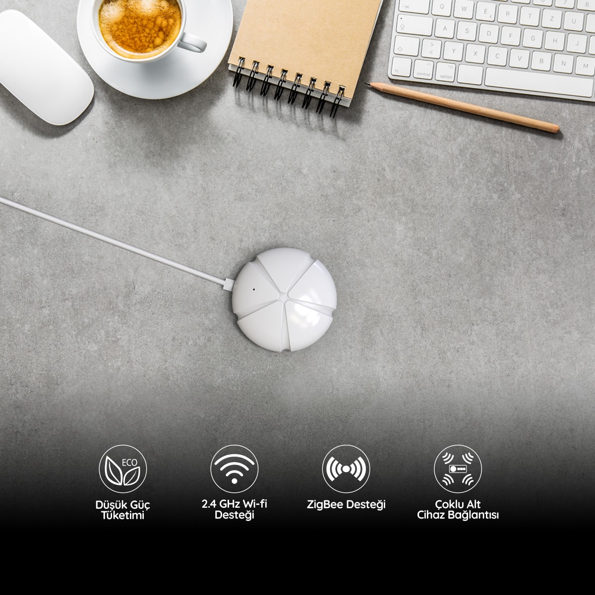 Link Zigbee Ağ Geçidi