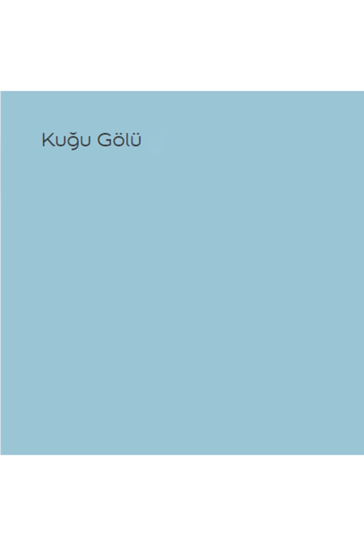 Silikonlu Özel Mat Kuğu Gölü 1 Lt