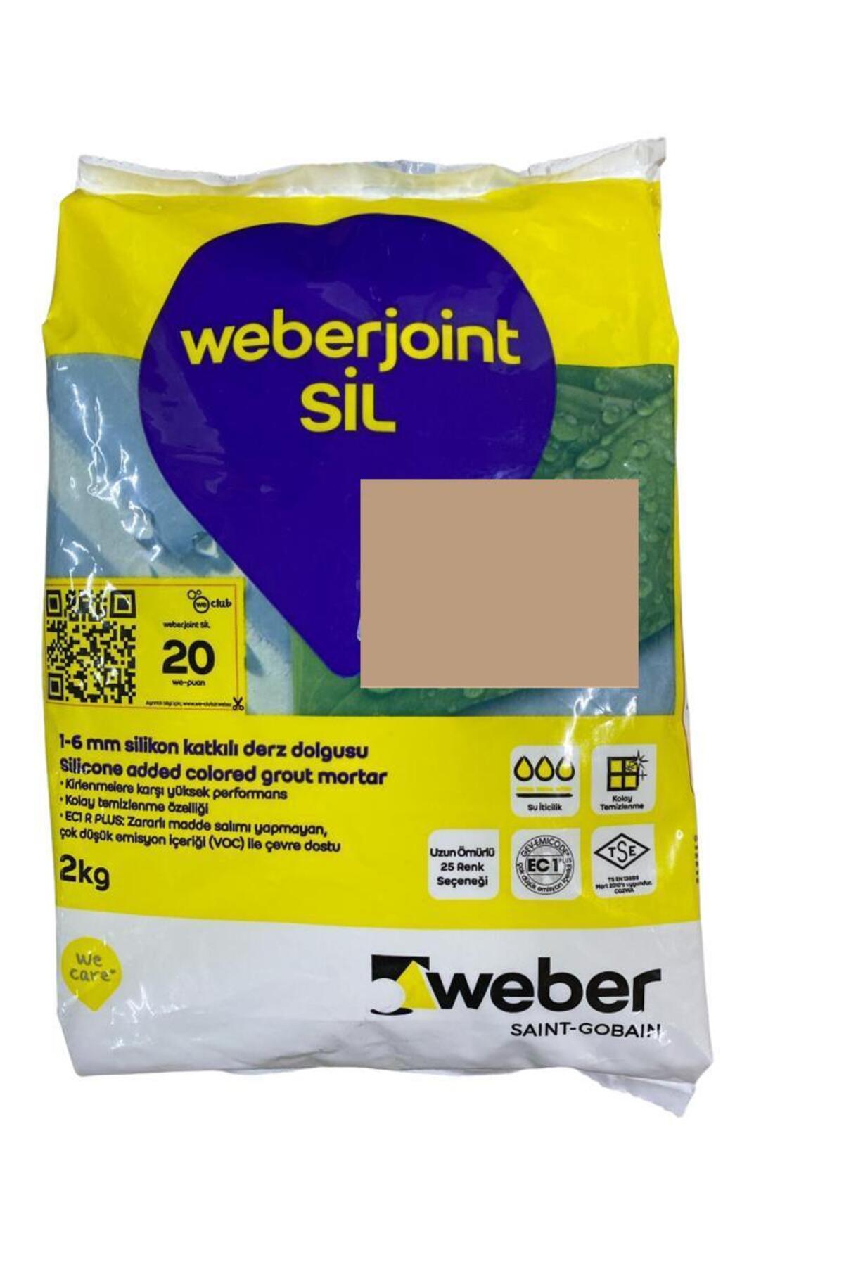 Joint Sil 411 Göreme Bej Derz Dolgu 2 Kg