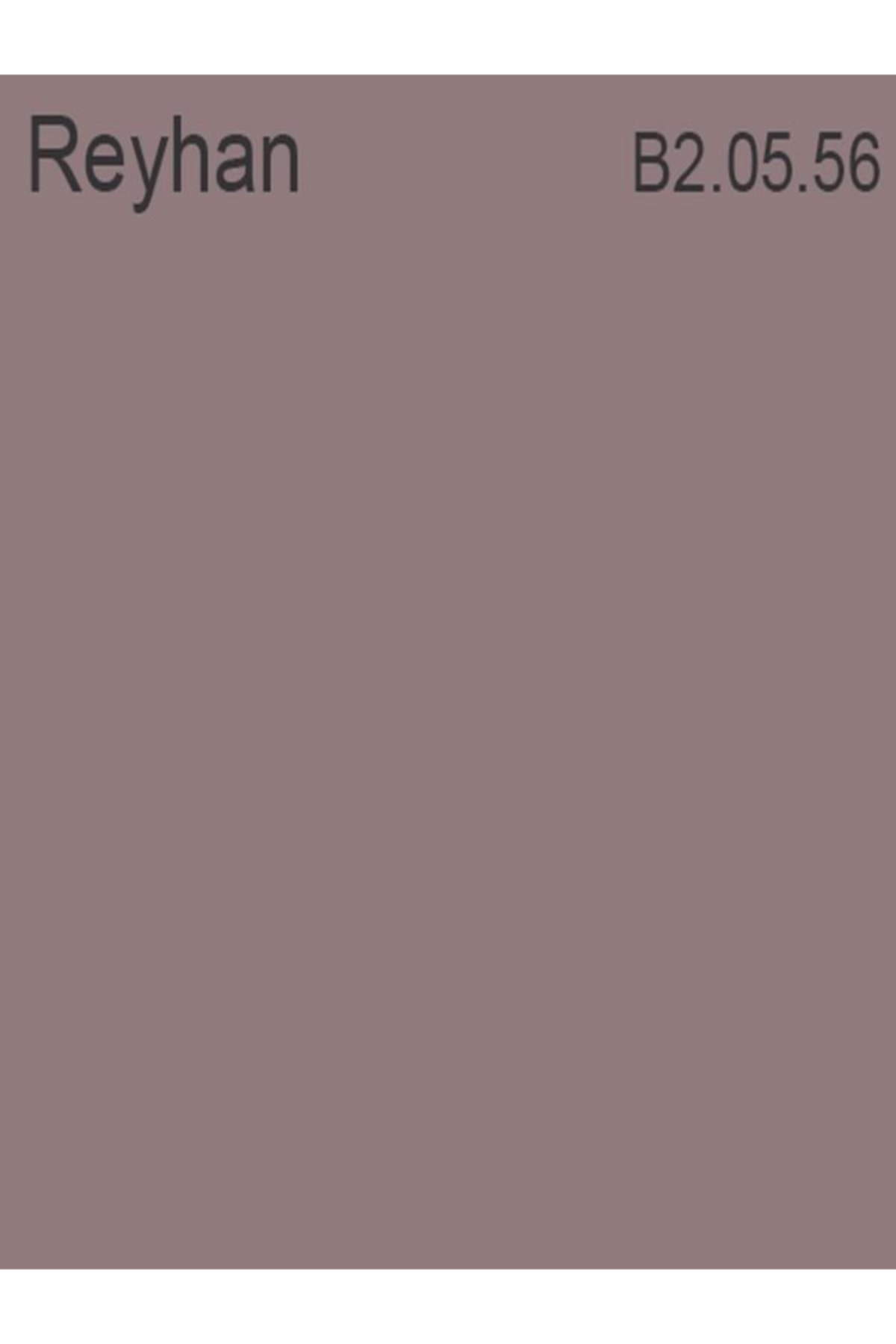 Akrikor Silikonlu + Akrilik Boya Reyhan 2,5 lt