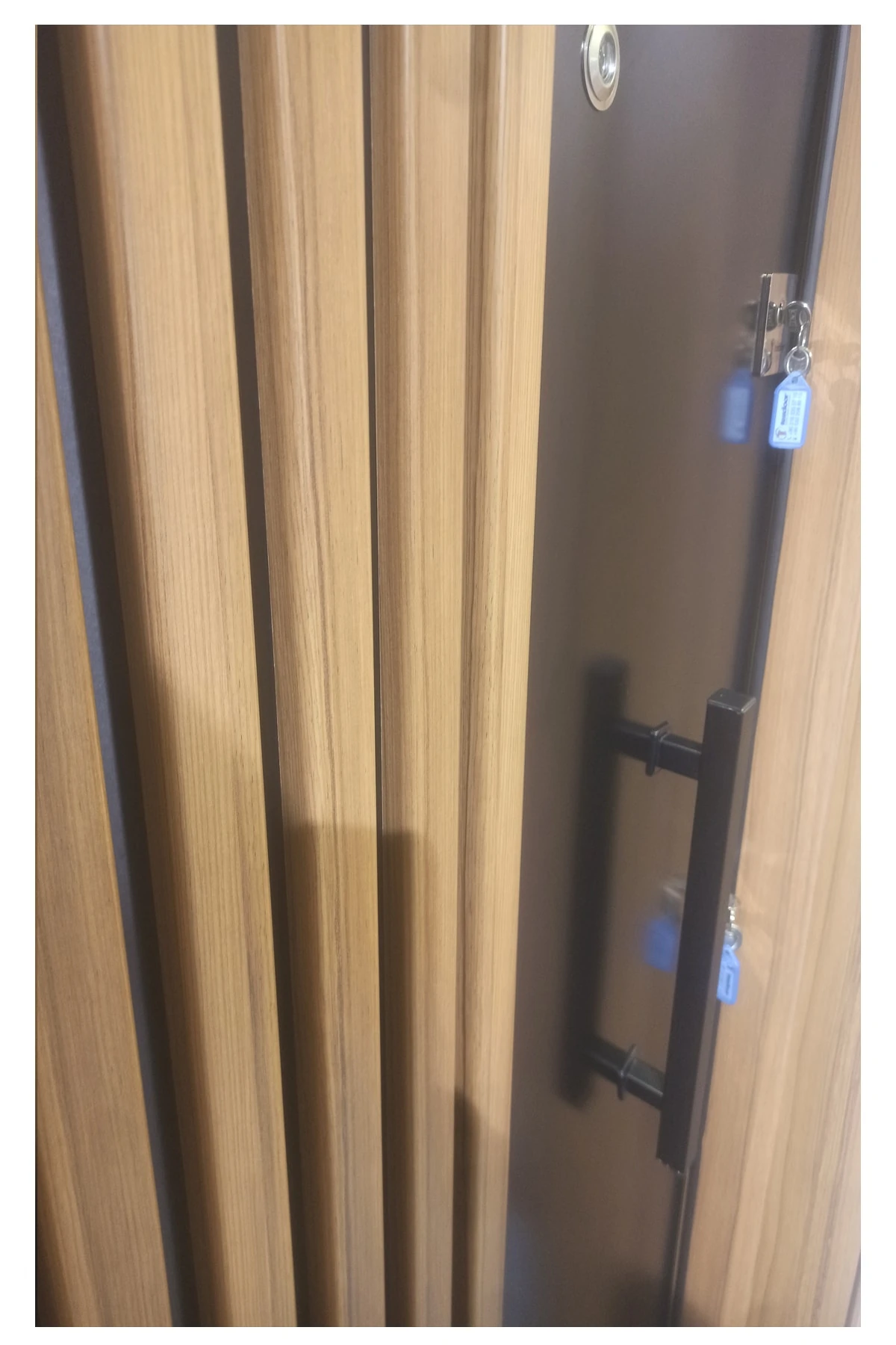 Celik Kapi, Ahşap Kaplama Kabartmalı Model Daire Kapısı