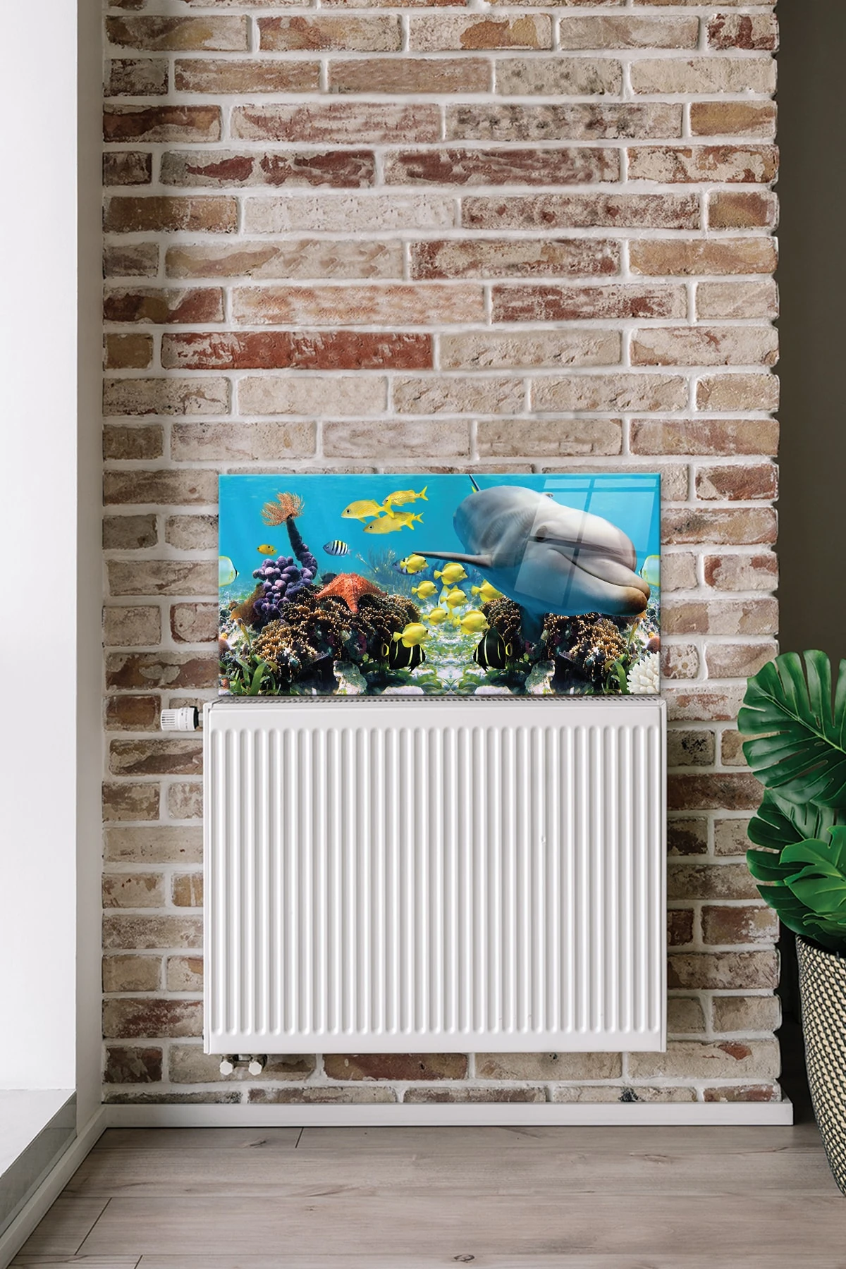 Petek Üstü Cam | Yunuslu Akvaryum | 50cm X 100cm