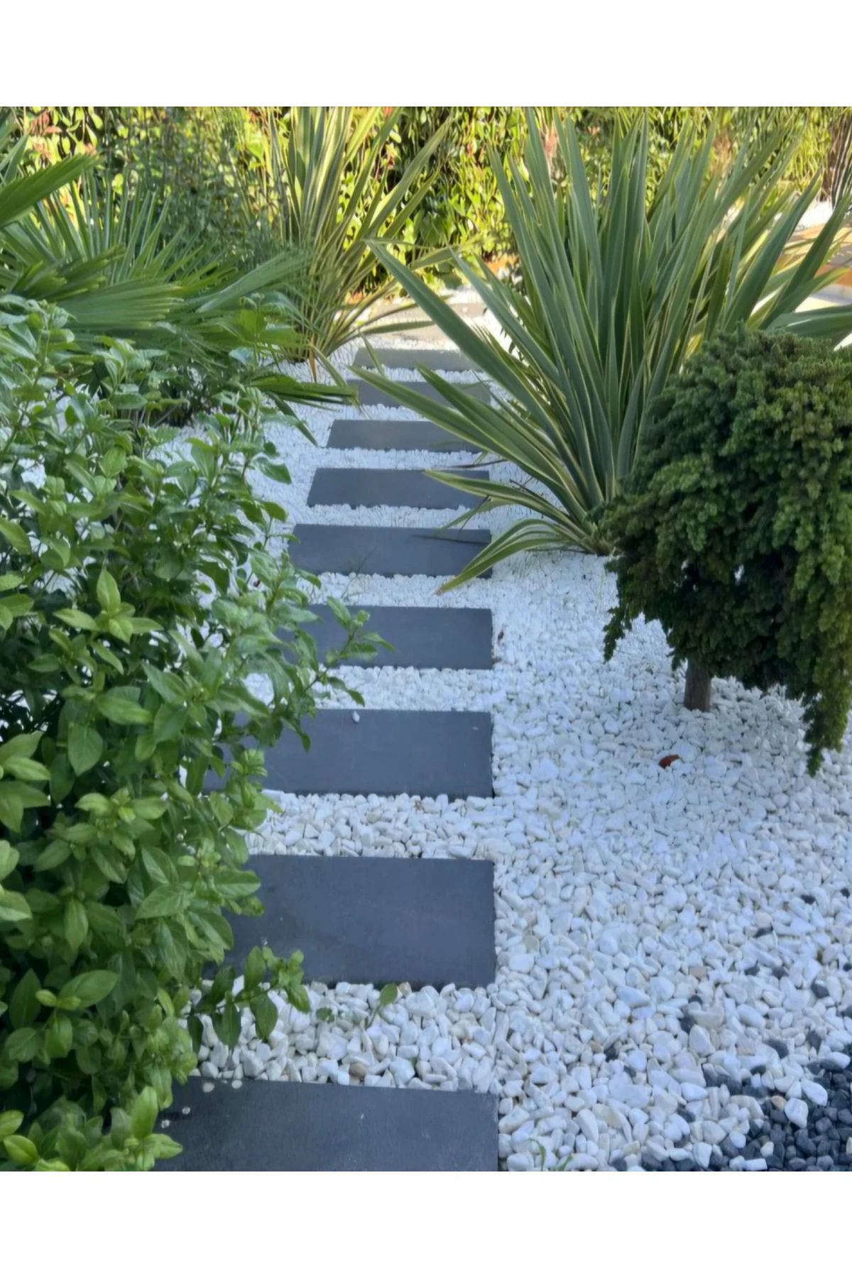 Probinder Dekoratif Amaçlı Taş, Çakıl Ve Kabuk Bağlayıcı Solüsyon 10 Kg