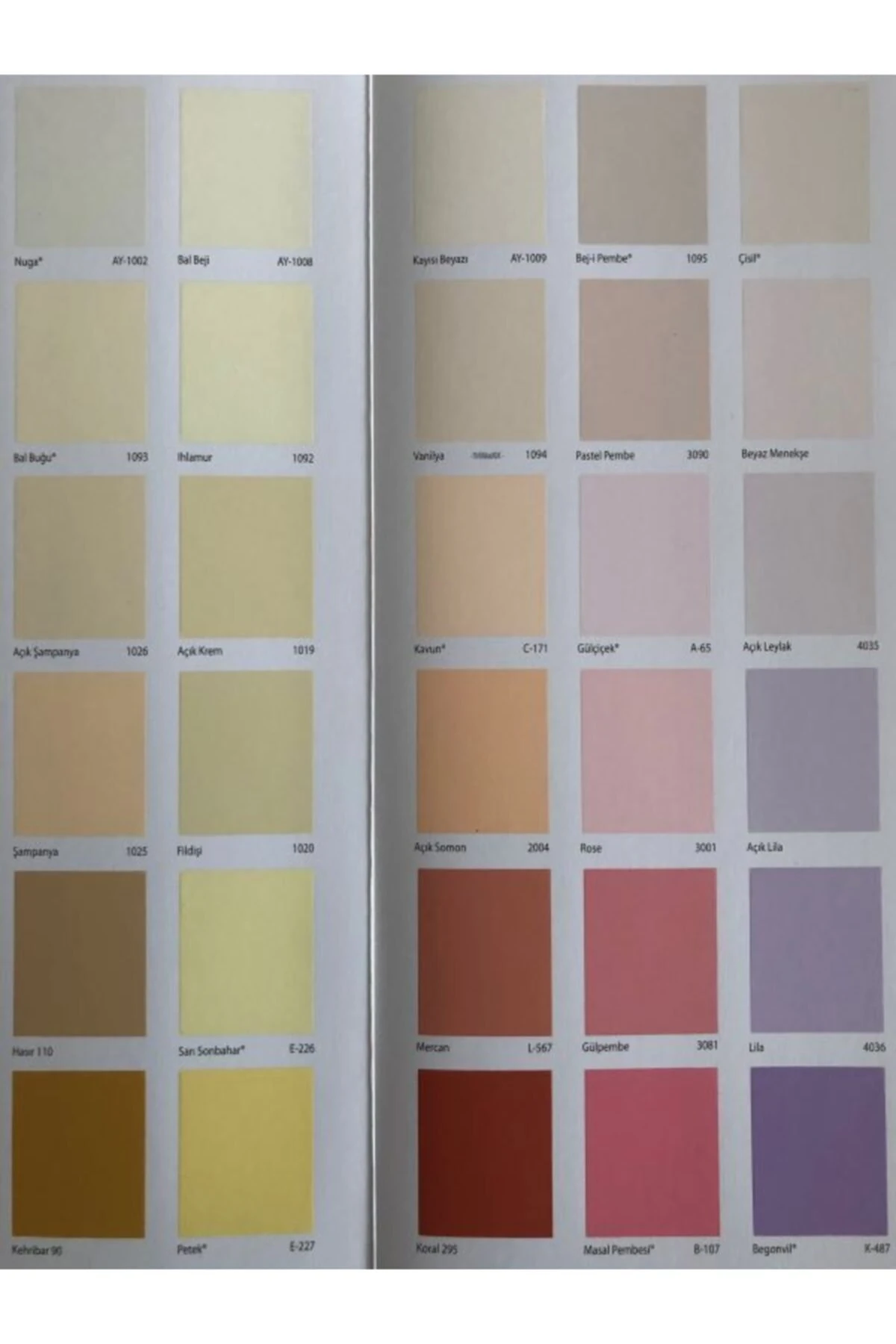 Silikonlu Mat Iç Cephe Boyası 2,5 L. Yağmur Damlası