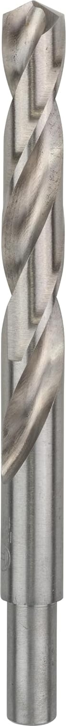 BOSCH 4x Pro Metal Hss-G Spiral Matkap Ucu Standart Uzunluk (Demir Olmayan Metaller İçin, Çelik, Ø 15,00 mm, Profesyonel Aksesuar Matkap/tornavida)