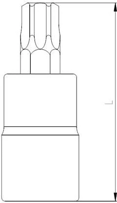 Izeltaş Lokmalı Star Torx Uç 1/2'' T30