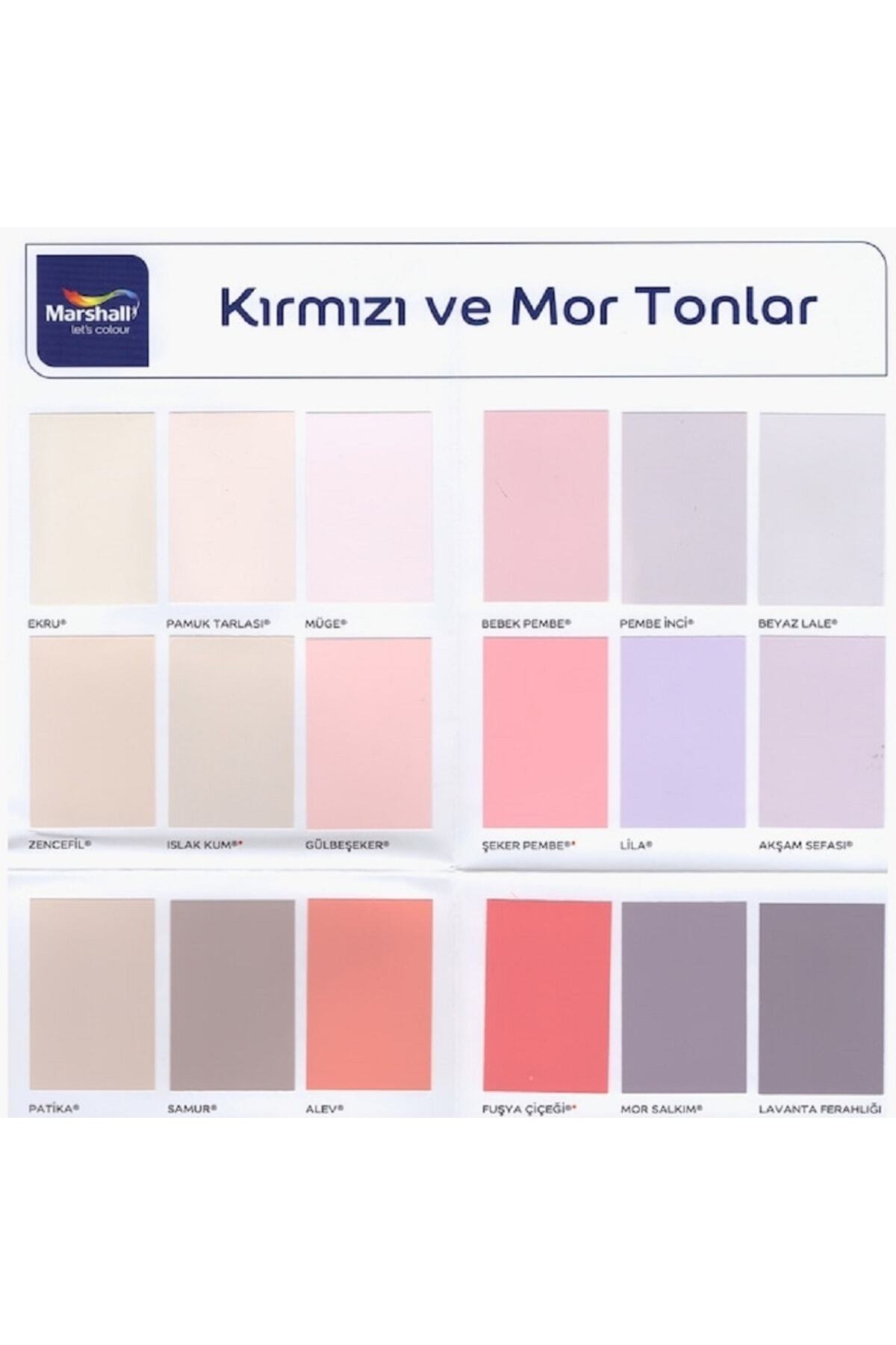 Plastik Mat Su Bazlı Silinebilir Duvar Boyası 2.5 Lt Tavan Boyası 3.5 Kg Set