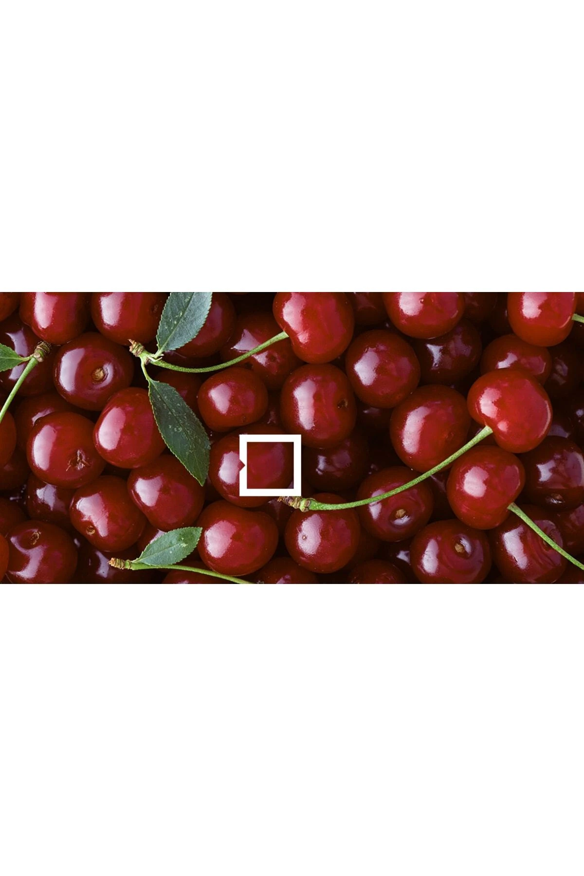 Filli Momento Silan Silinebilir Ipeksi Mat Içcephe Duvar Boyası 15lt Koral125