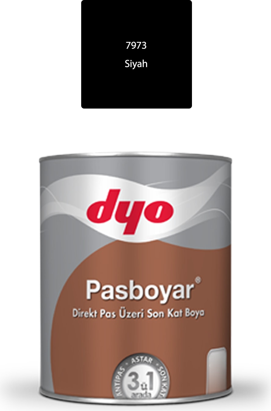Pasboyar Antipaslı Yağlı Boya Siyah 2,5 Lt (Parlak)