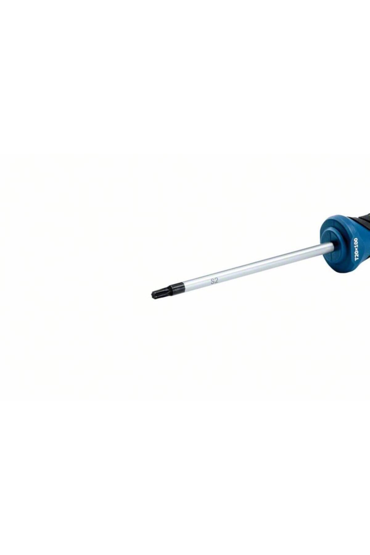 BOSCH Professional Torx Tornavida Tx20 X 100 Mm - 1600a01v0c