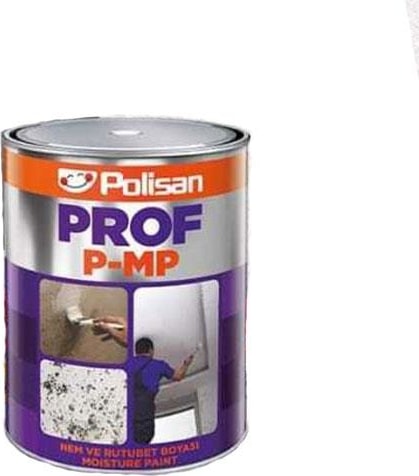 Prof P-Mp Nem ve Rutubet Boyası 1 Kg.