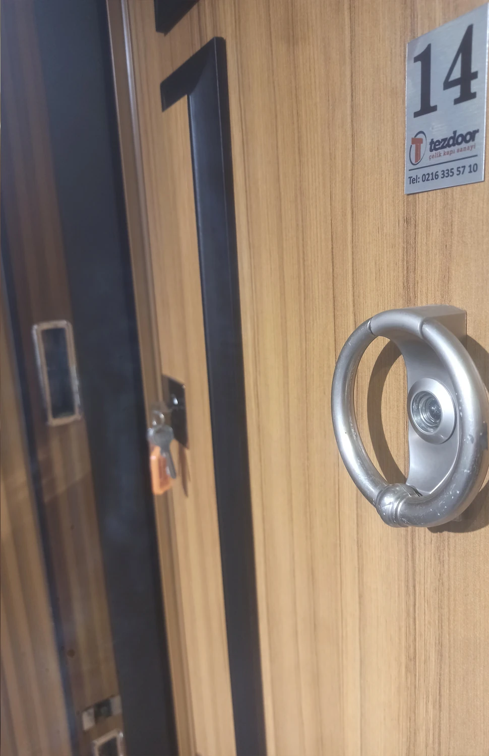 Eskitme ( Abd ) Kabartmalı Model Daire Kapısı, Çelik Kapı, Villa Kapısı