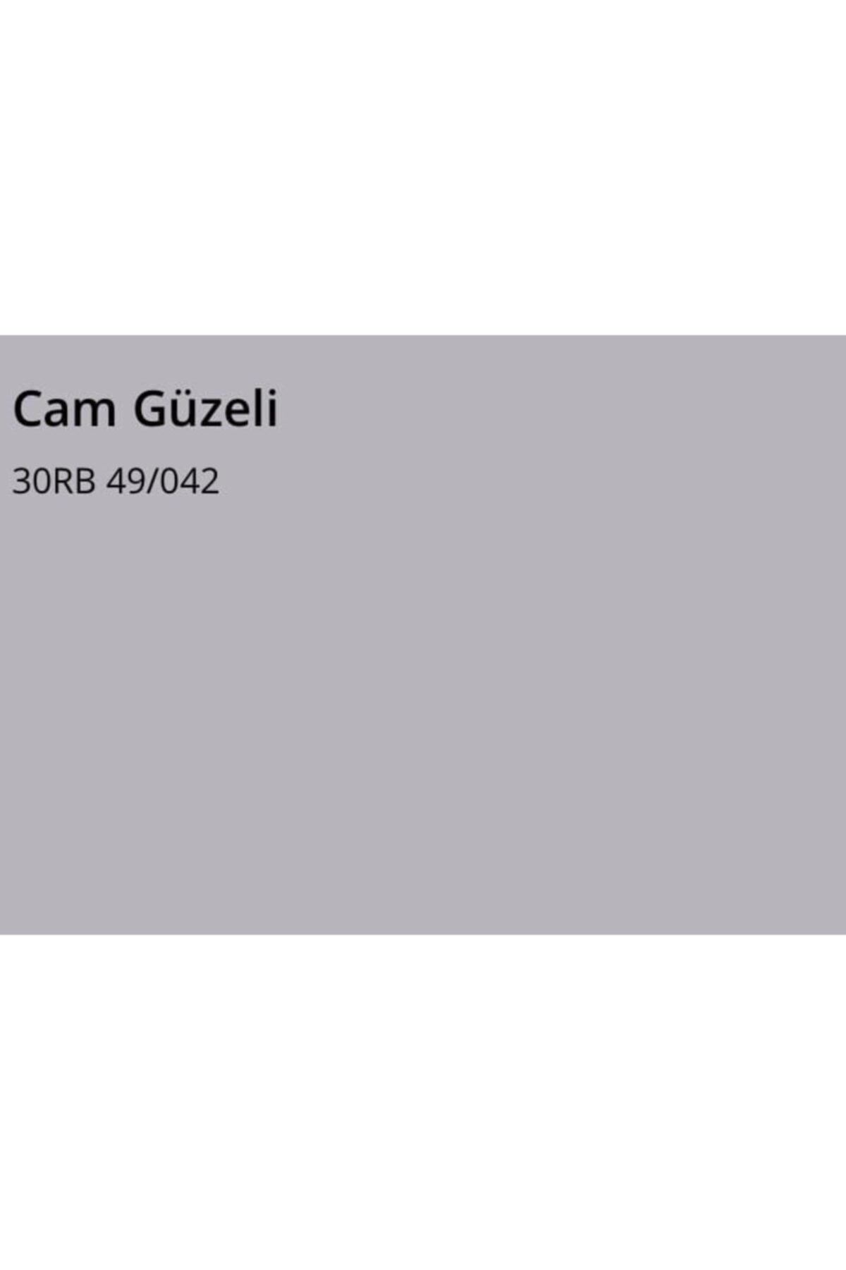 MARSHALL Fit Silikonlu Ipek Mat Cam Güzeli 20 Kg