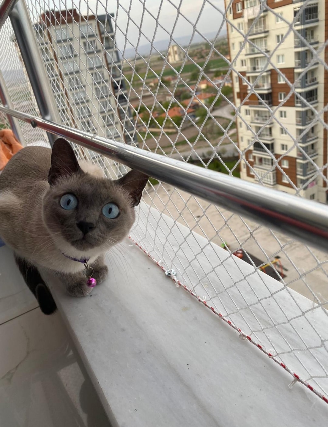 Güvenlik Filesi Kedi Filesi Kedi Koruma Filesi Kuş Filesi Kuş Önleme Filesi Güvenlik Filesi