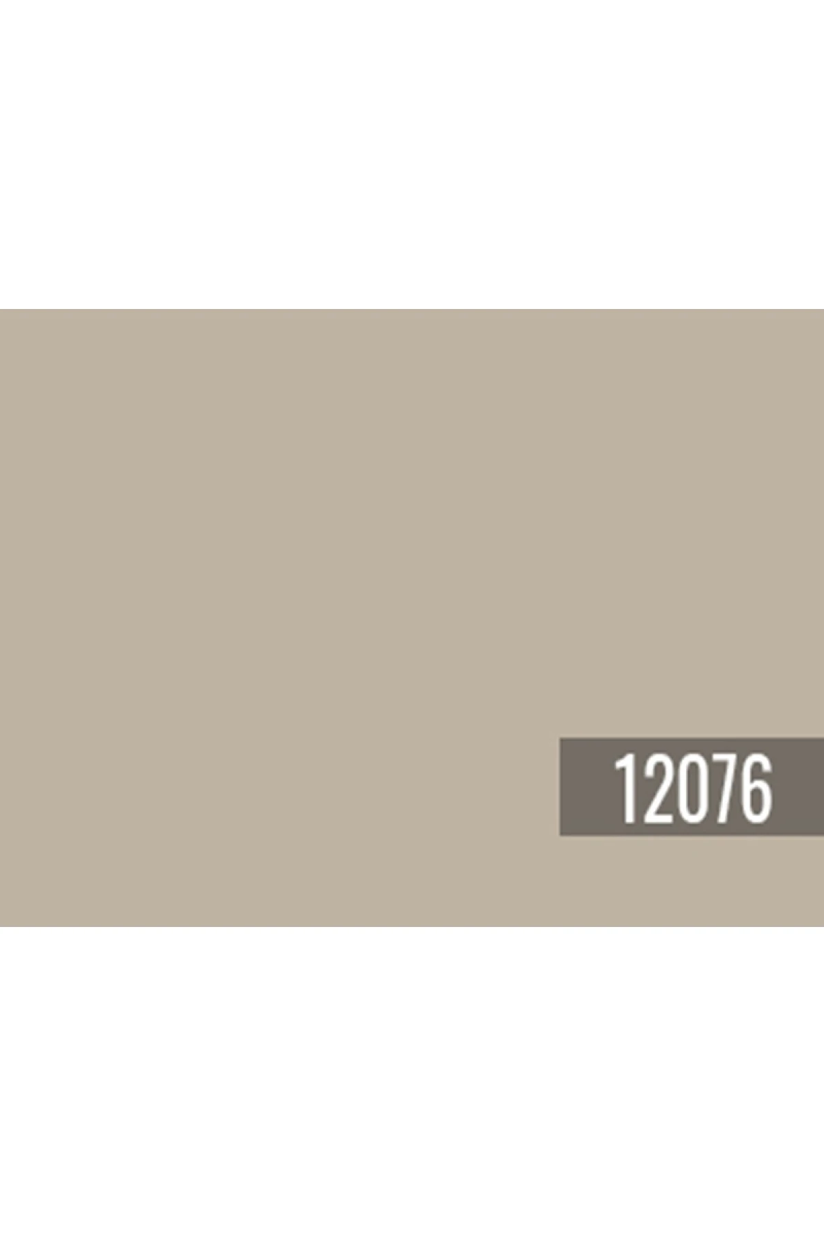 Fenomastic Güzel Evim Serisi Zengin Mat 1 lt Modern Beige 12076