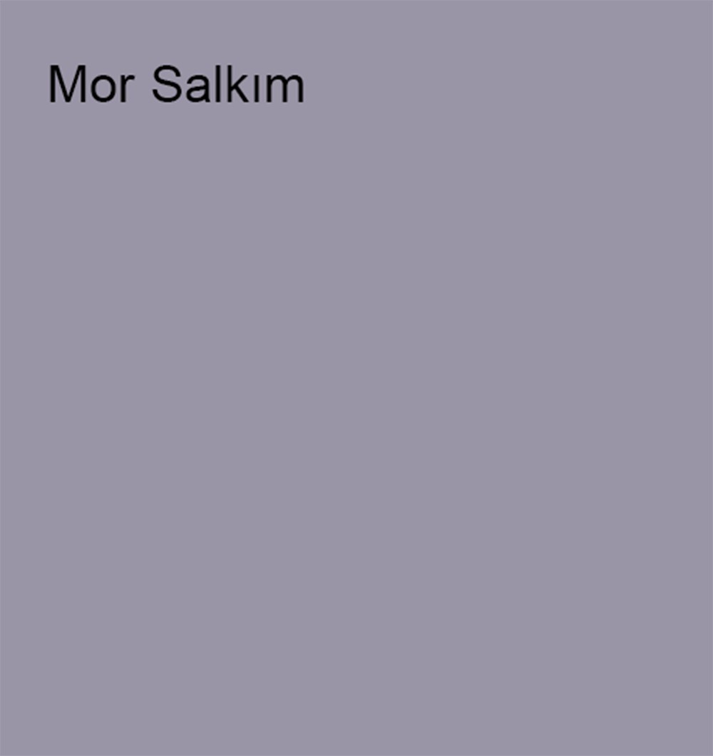 Silikonlu Özel Mat Mor Salkım 7,5 Lt (10 Kg)