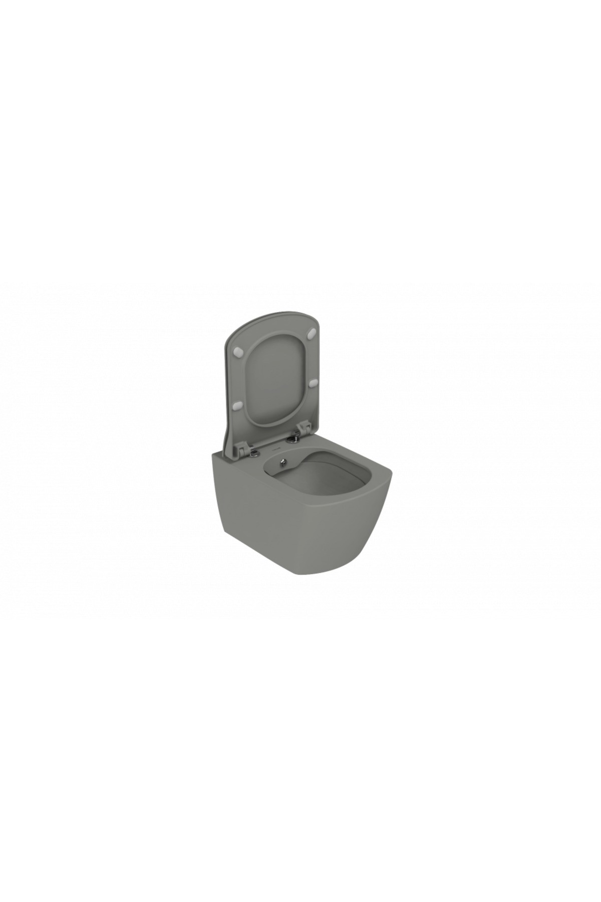 Elegant Rim-Off Duroplast Yavaş Kapanan Klozet Kapaklı Cool Grey Set